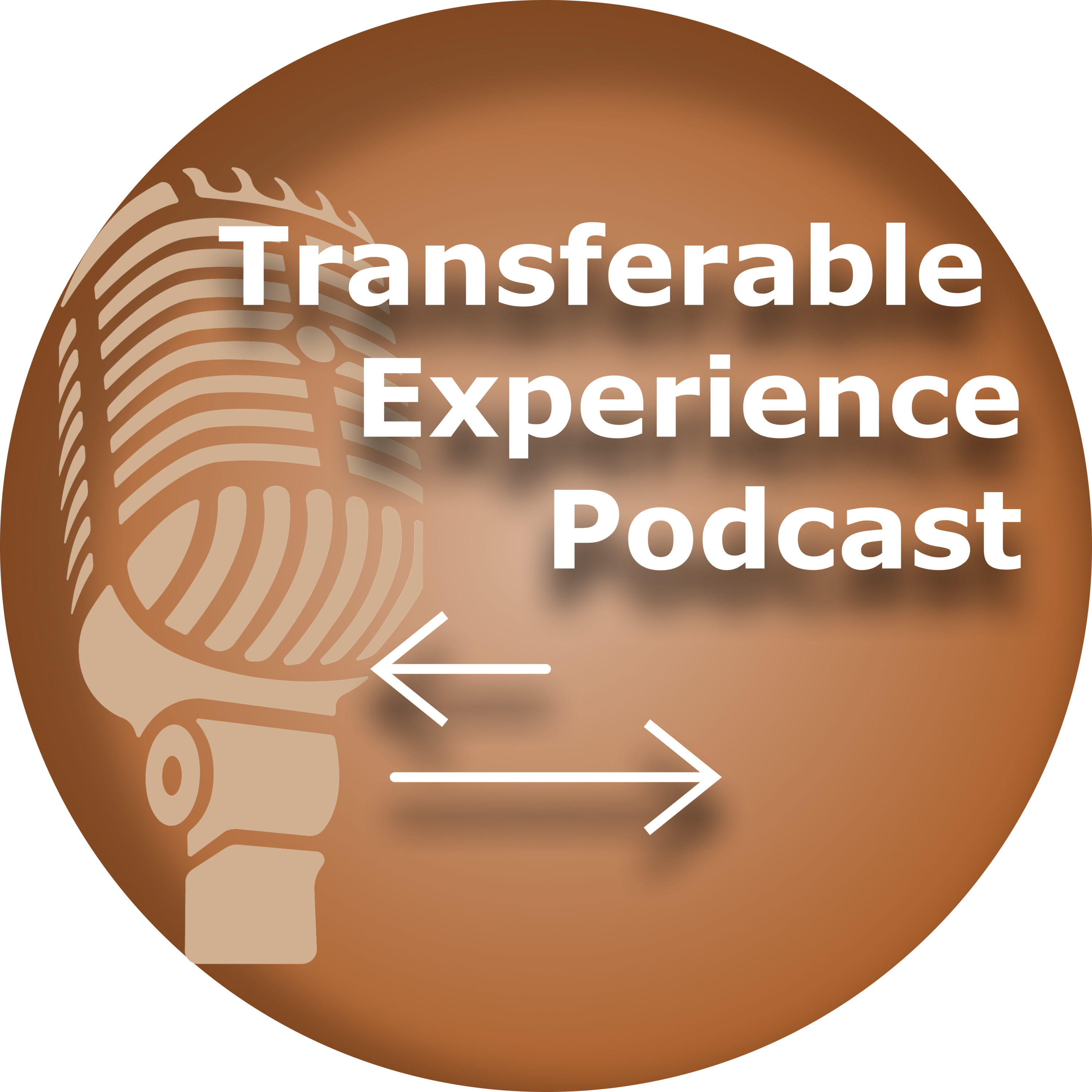 Transferable Experience Podcast