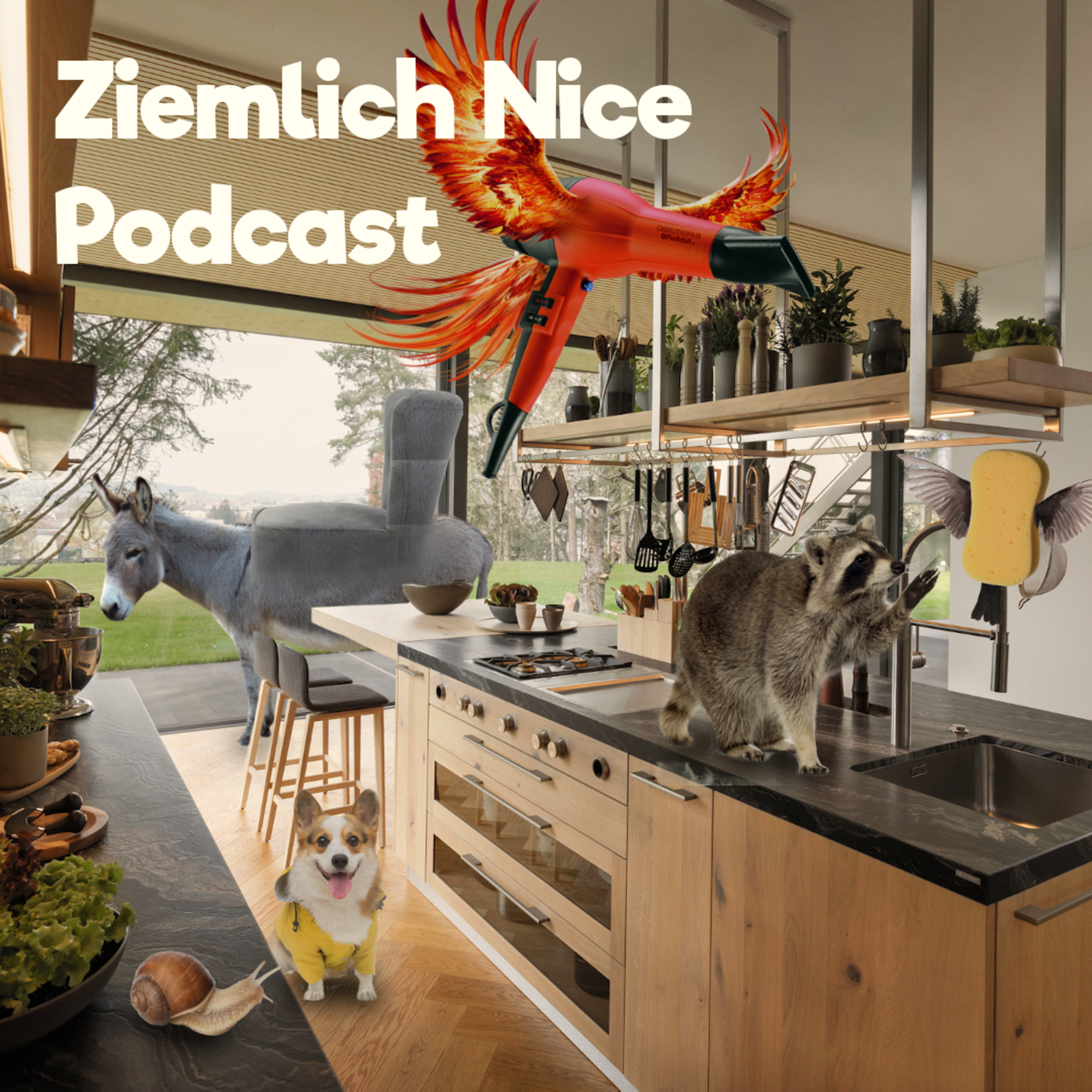 Ziemlich Nice Podcast