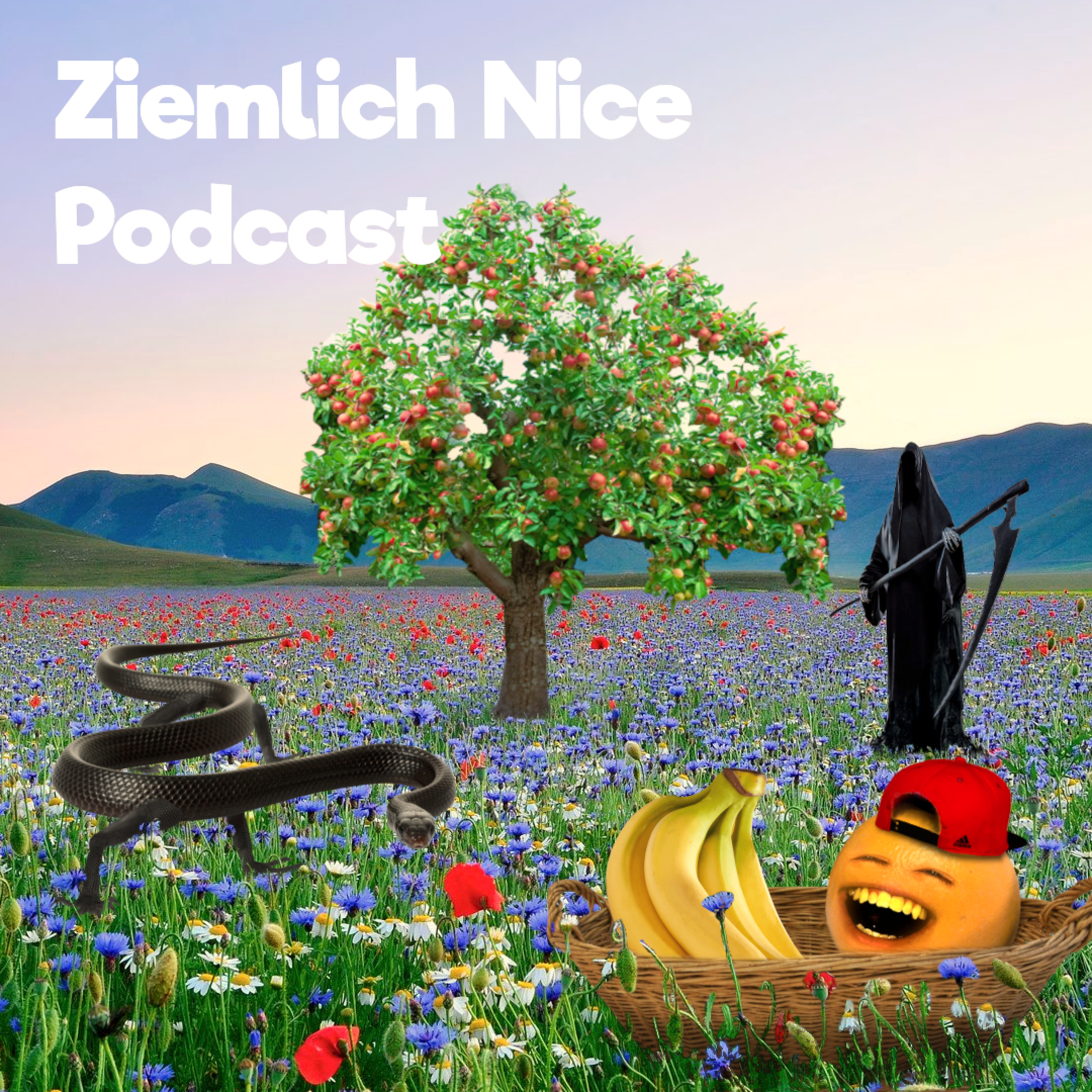 Ziemlich Nice Podcast