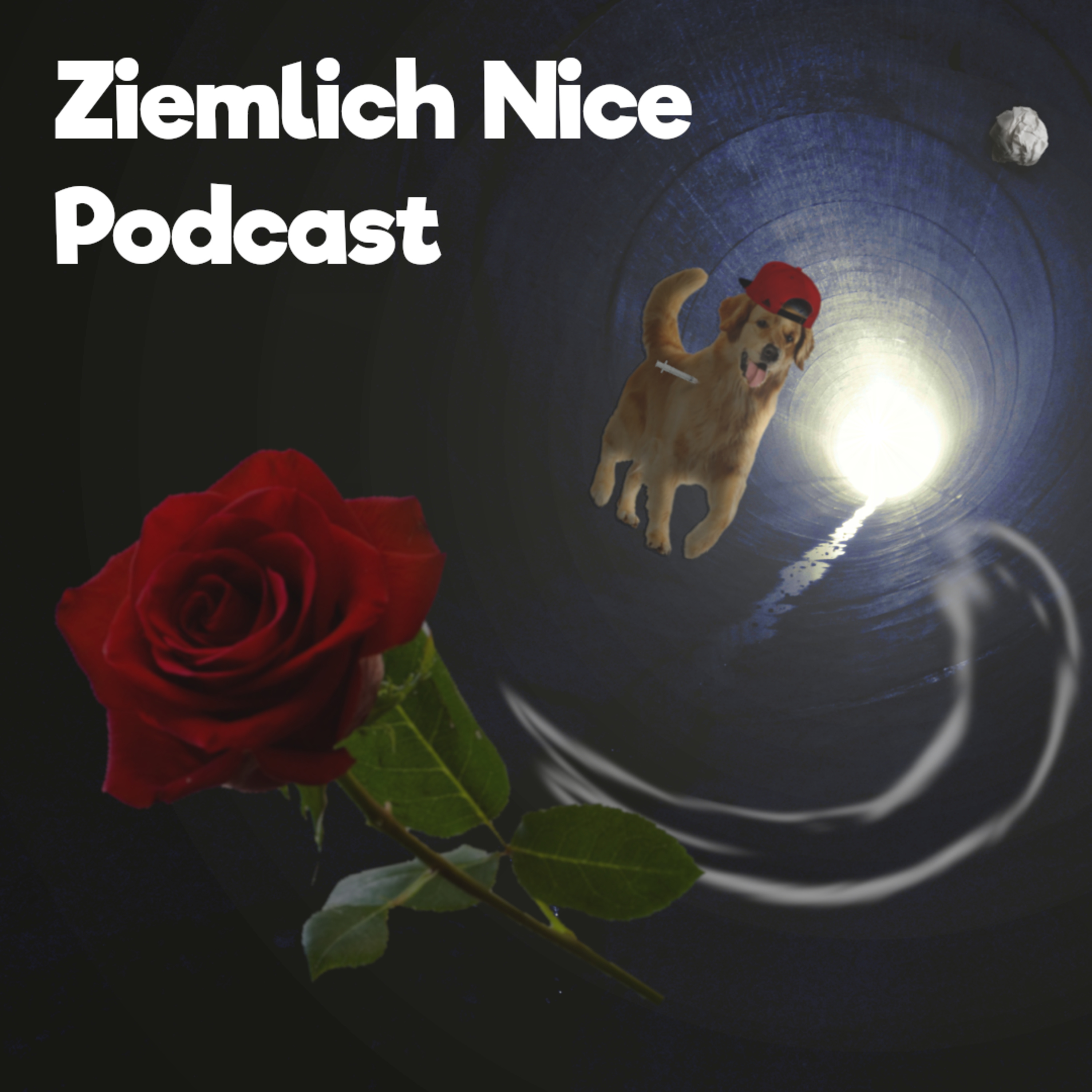 Ziemlich Nice Podcast