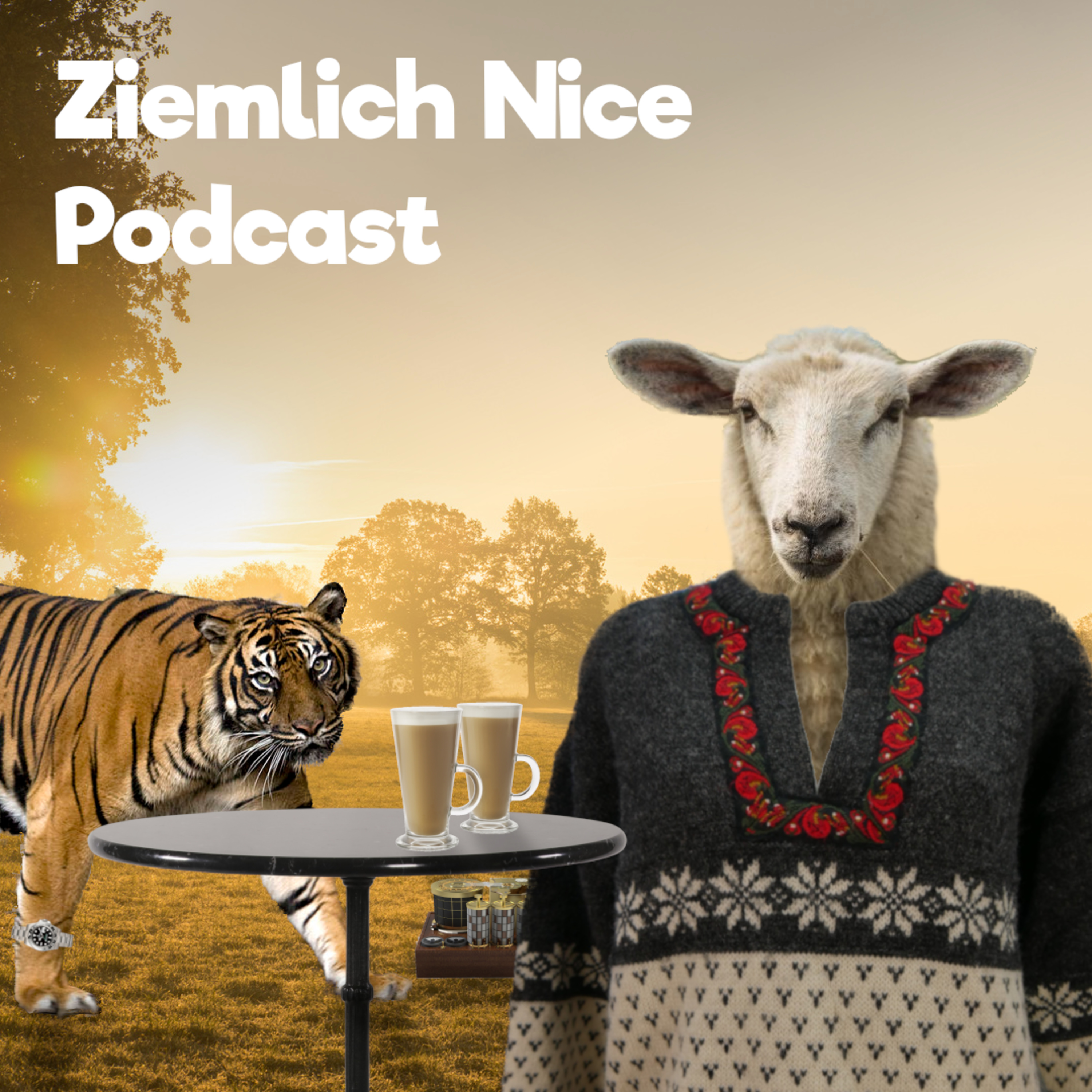 Ziemlich Nice Podcast