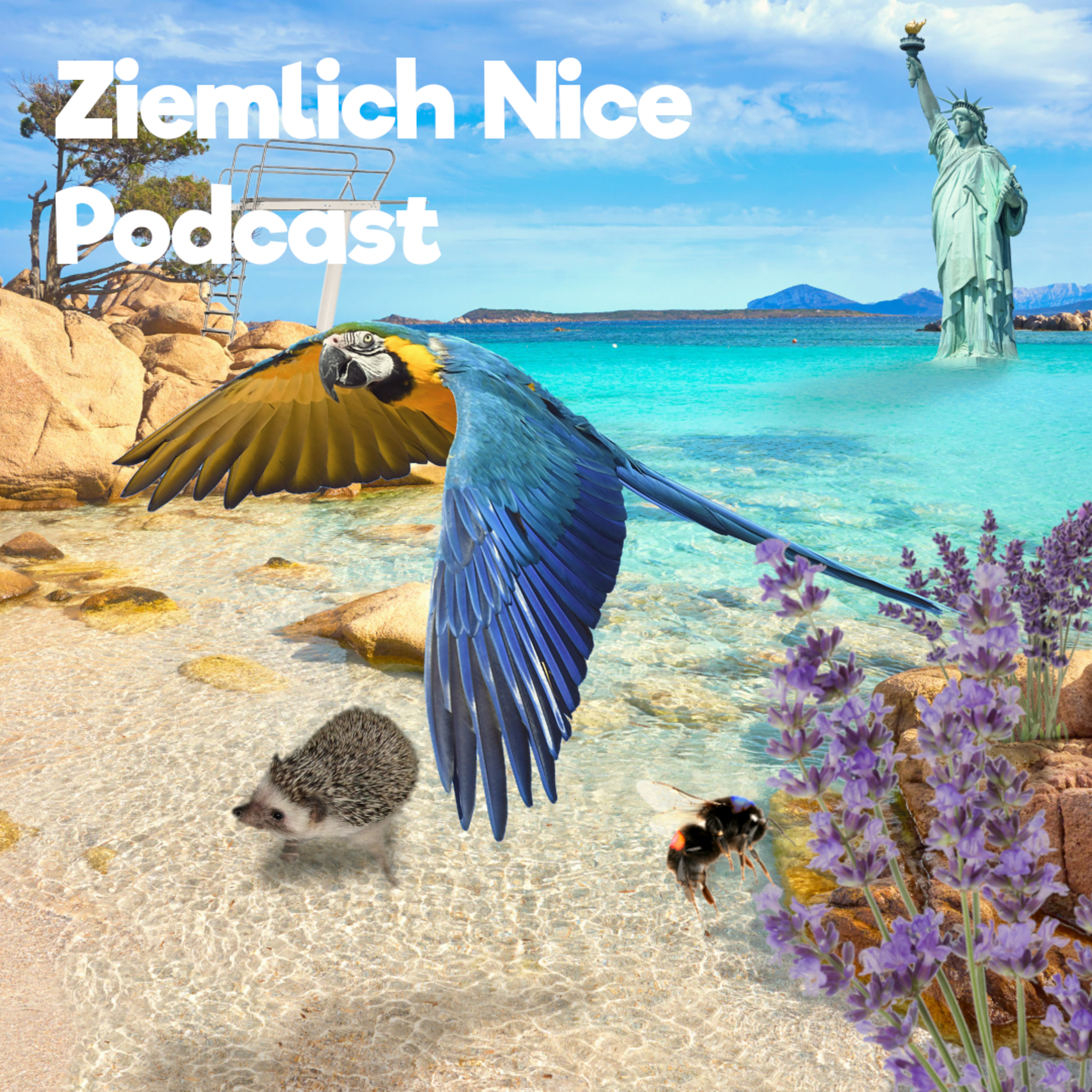 Ziemlich Nice Podcast