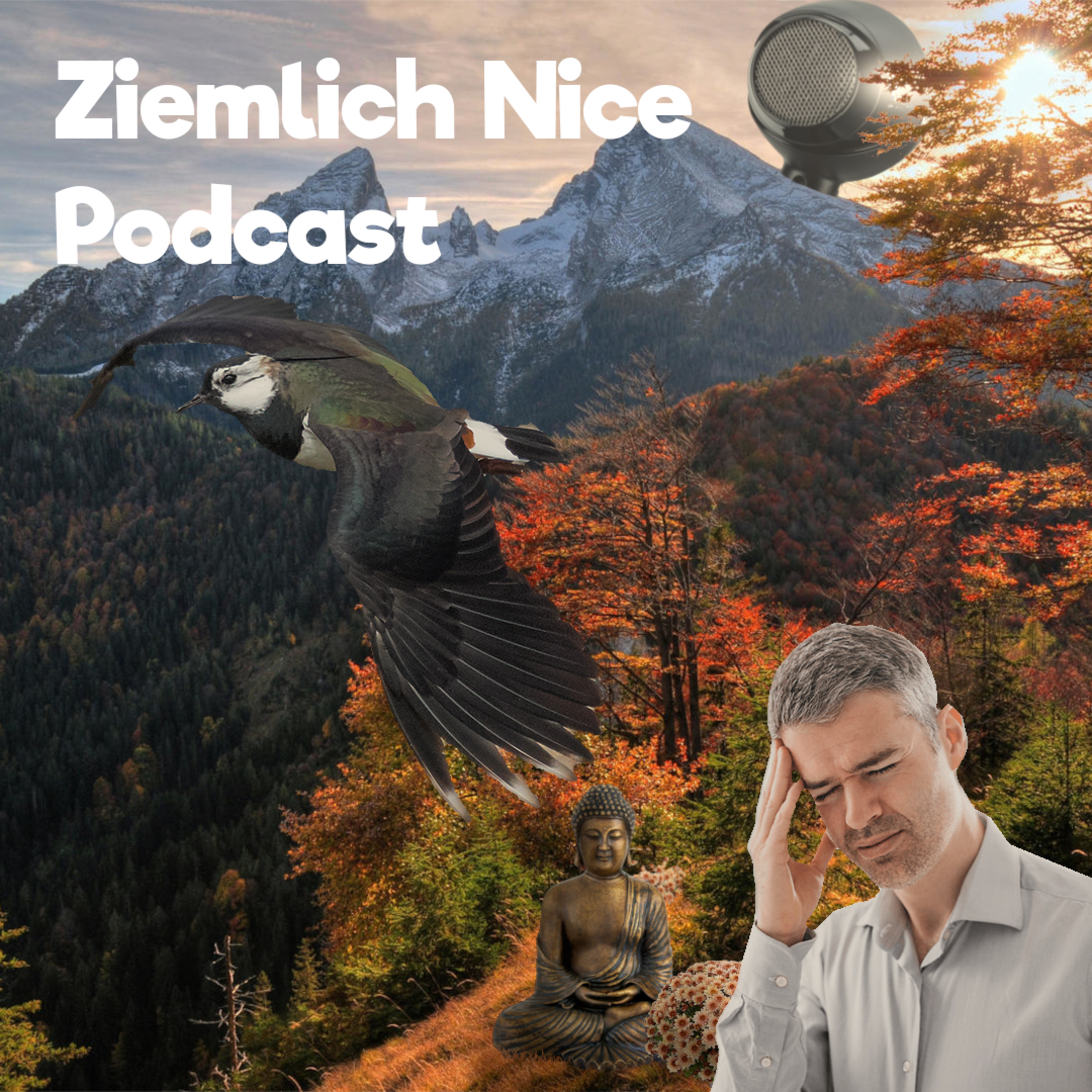 Ziemlich Nice Podcast