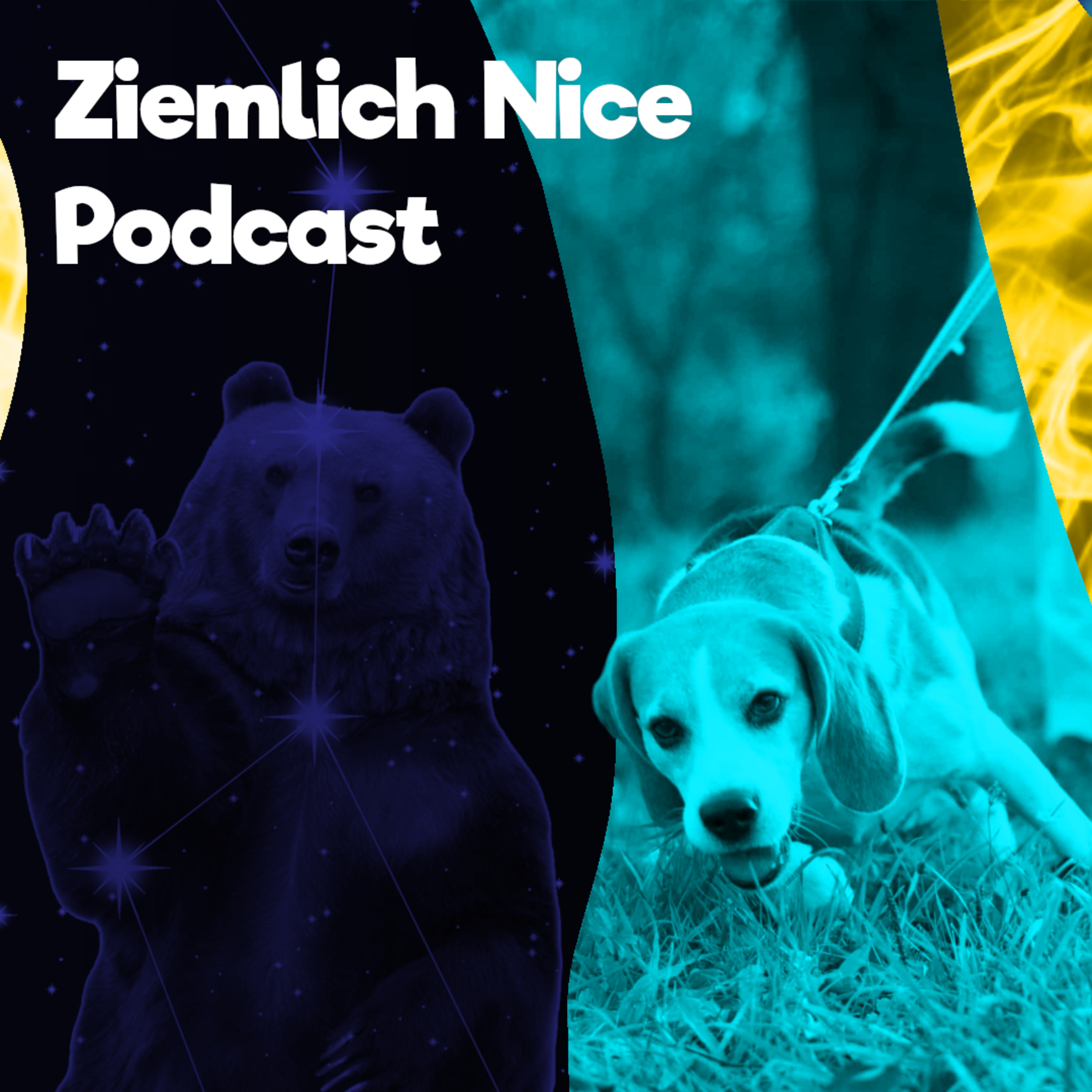 Ziemlich Nice Podcast