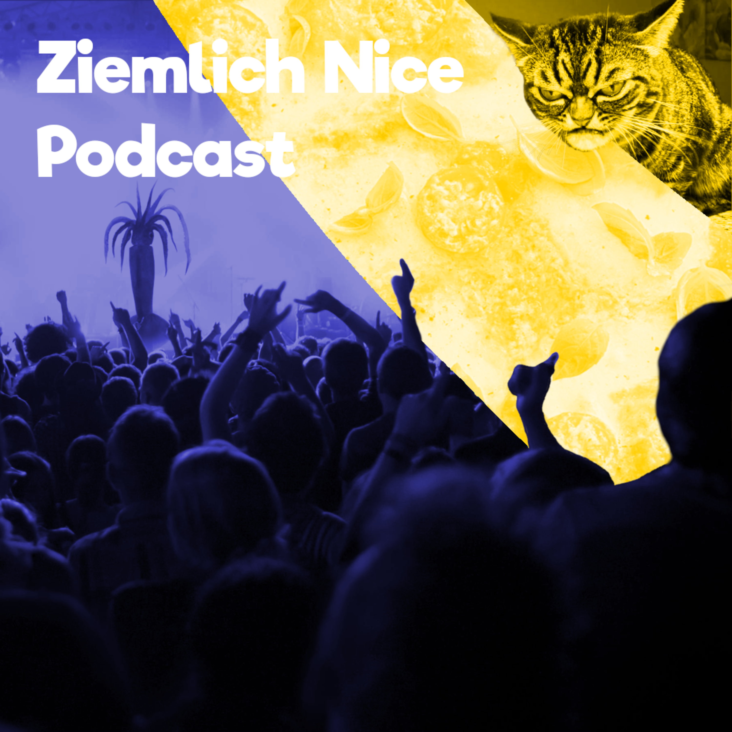 Ziemlich Nice Podcast