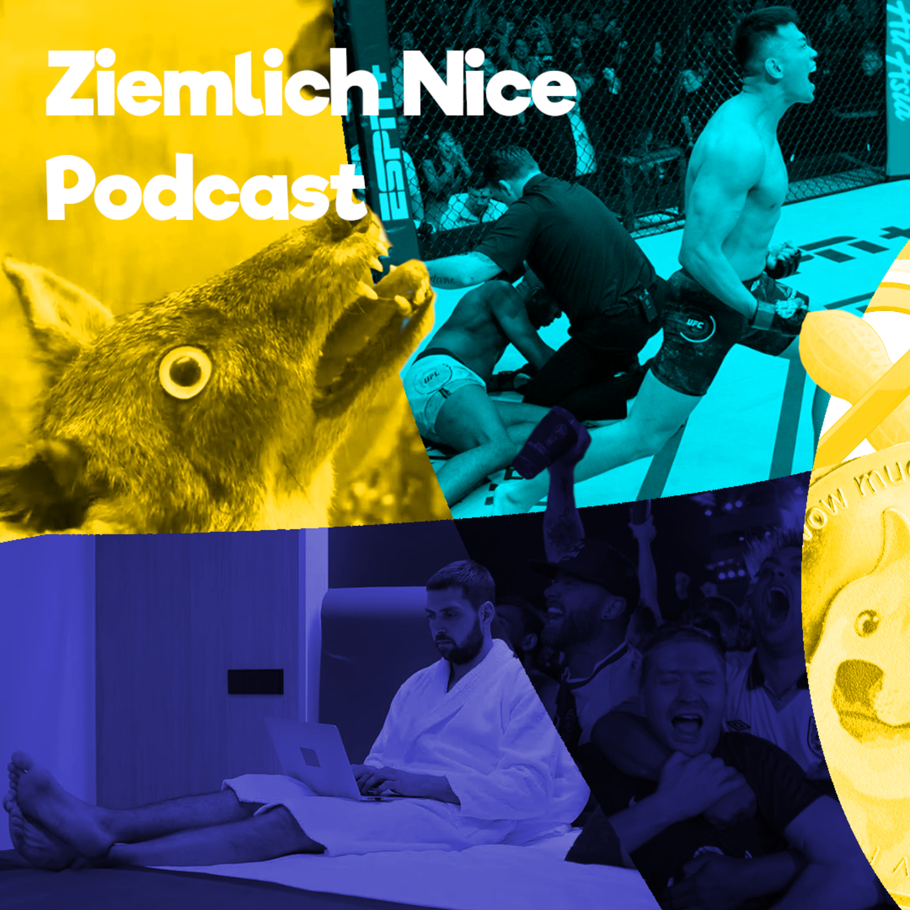 Ziemlich Nice Podcast