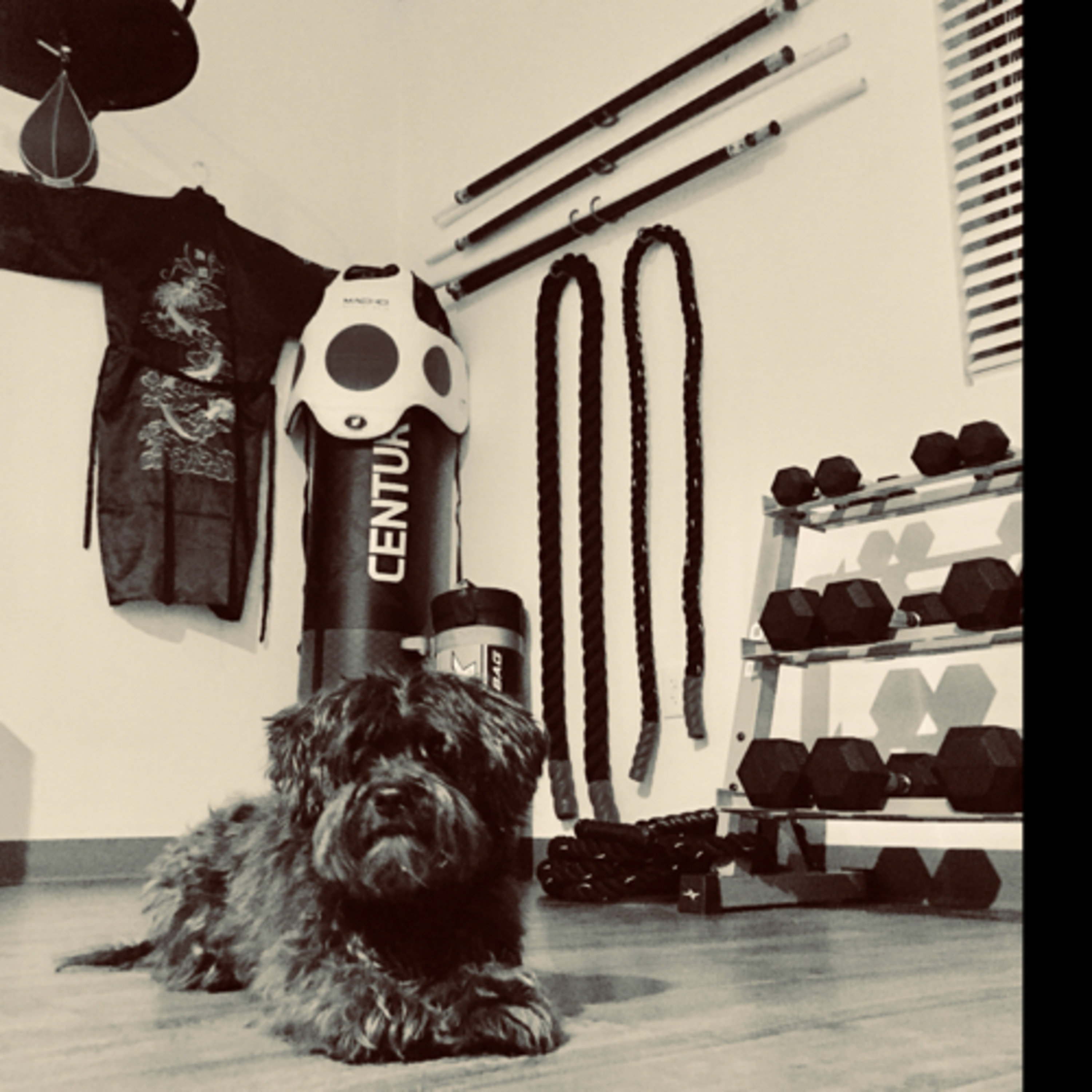 Small seeds = Big Plants Small seeds = Big Plants