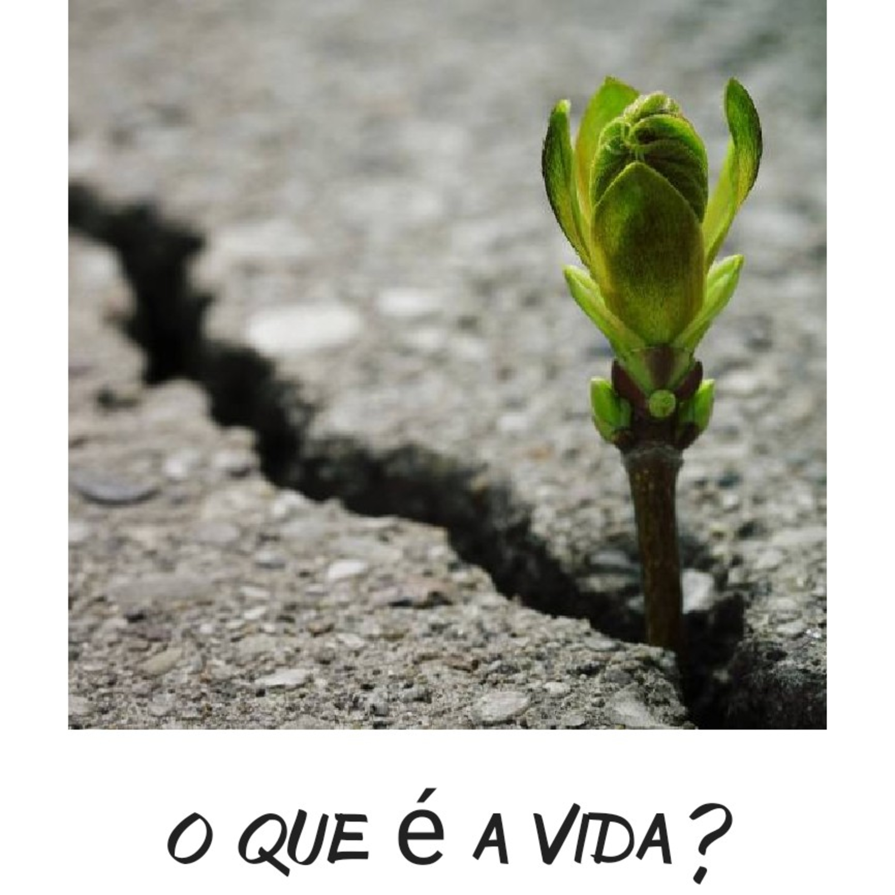 Senta aqui no meu divã