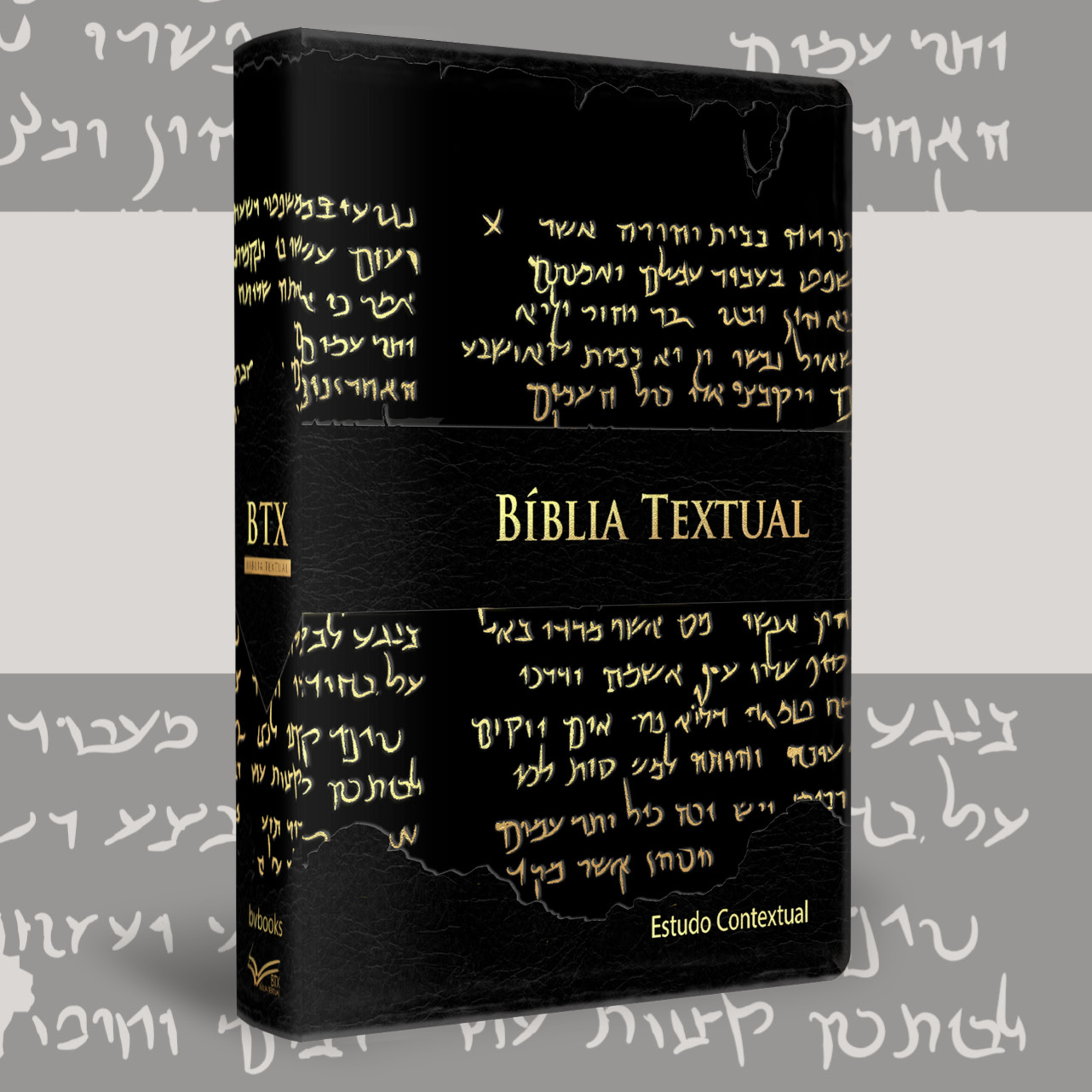 Conheça as Bíblias e Livros da BV Books