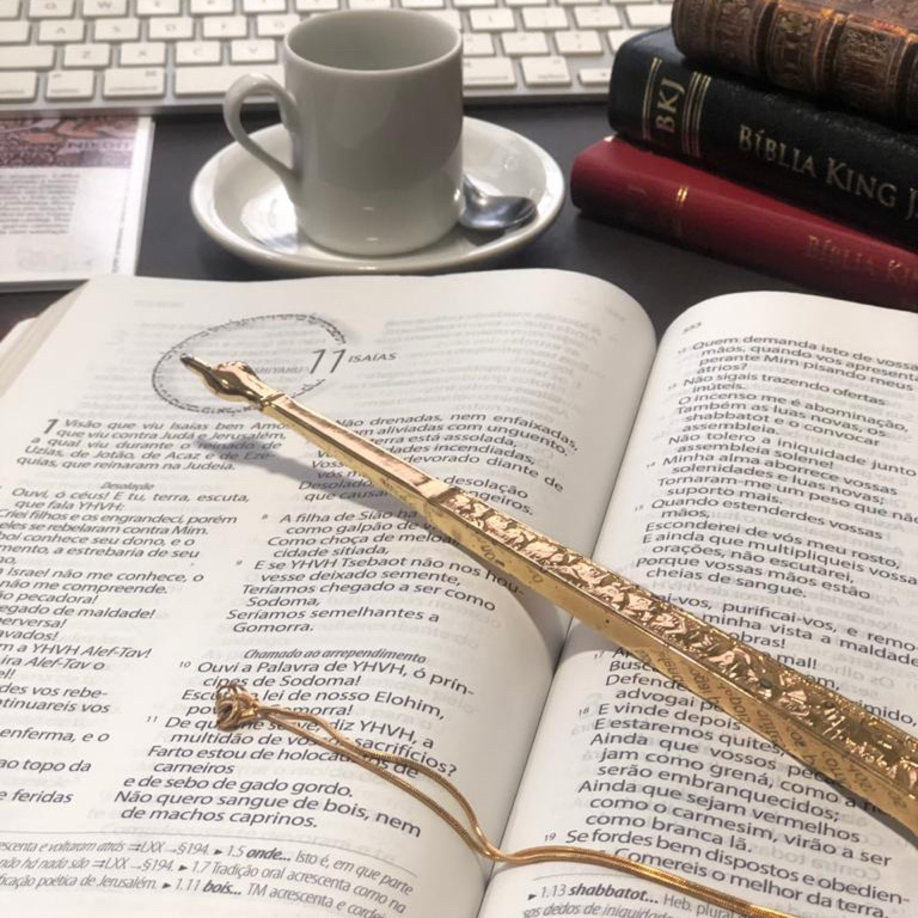 Conheça as Bíblias e Livros da BV Books