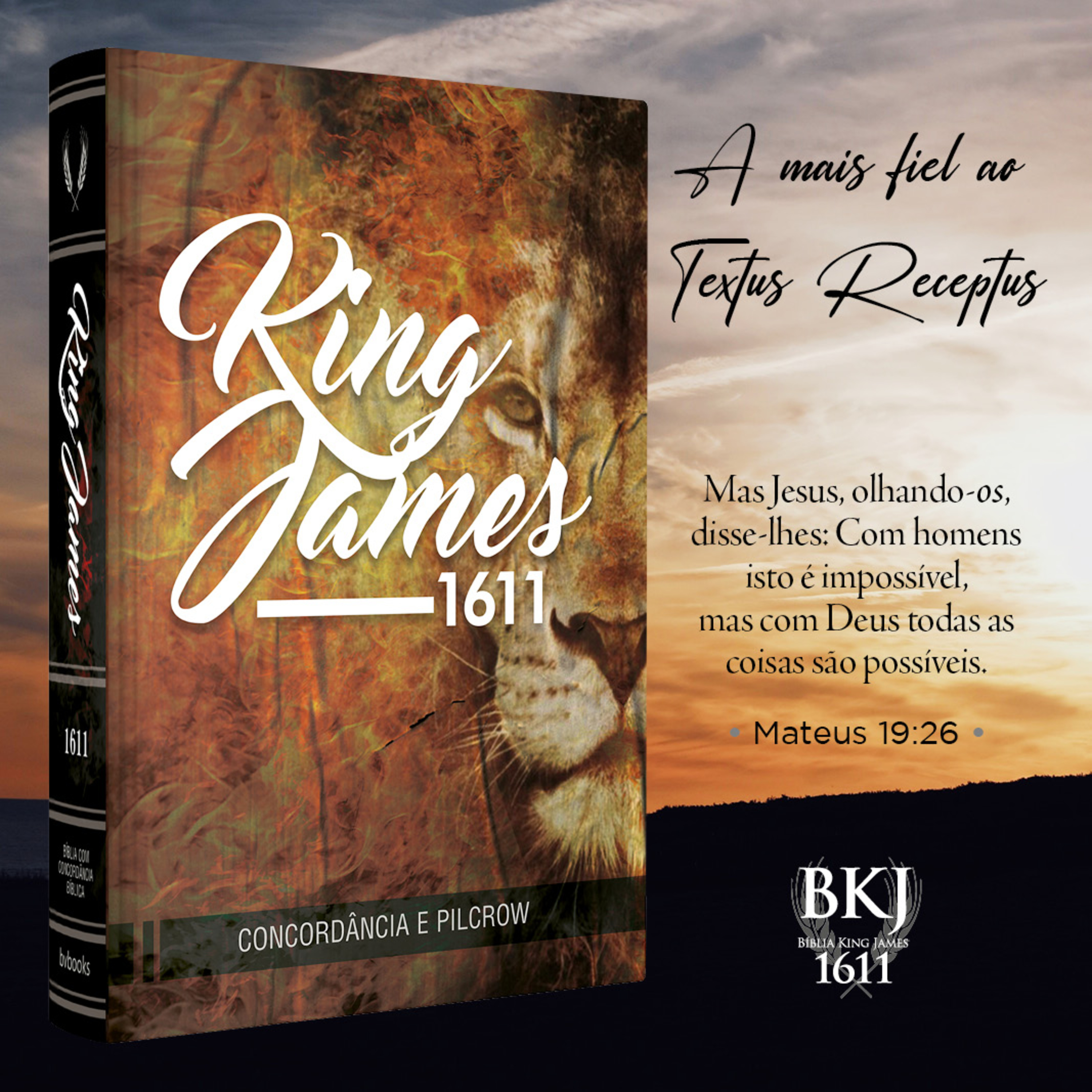 Conheça as Bíblias e Livros da BV Books