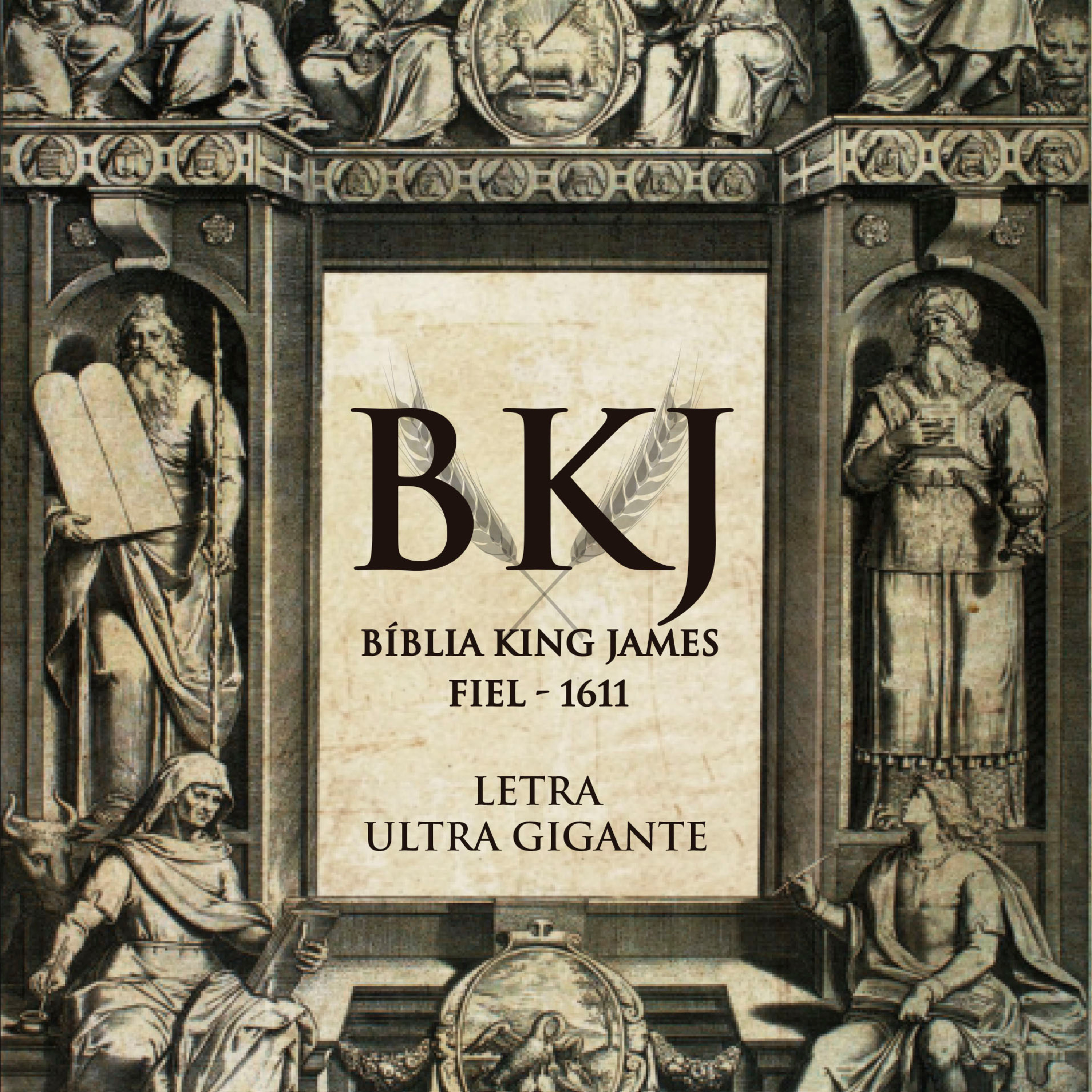 Conheça as Bíblias e Livros da BV Books