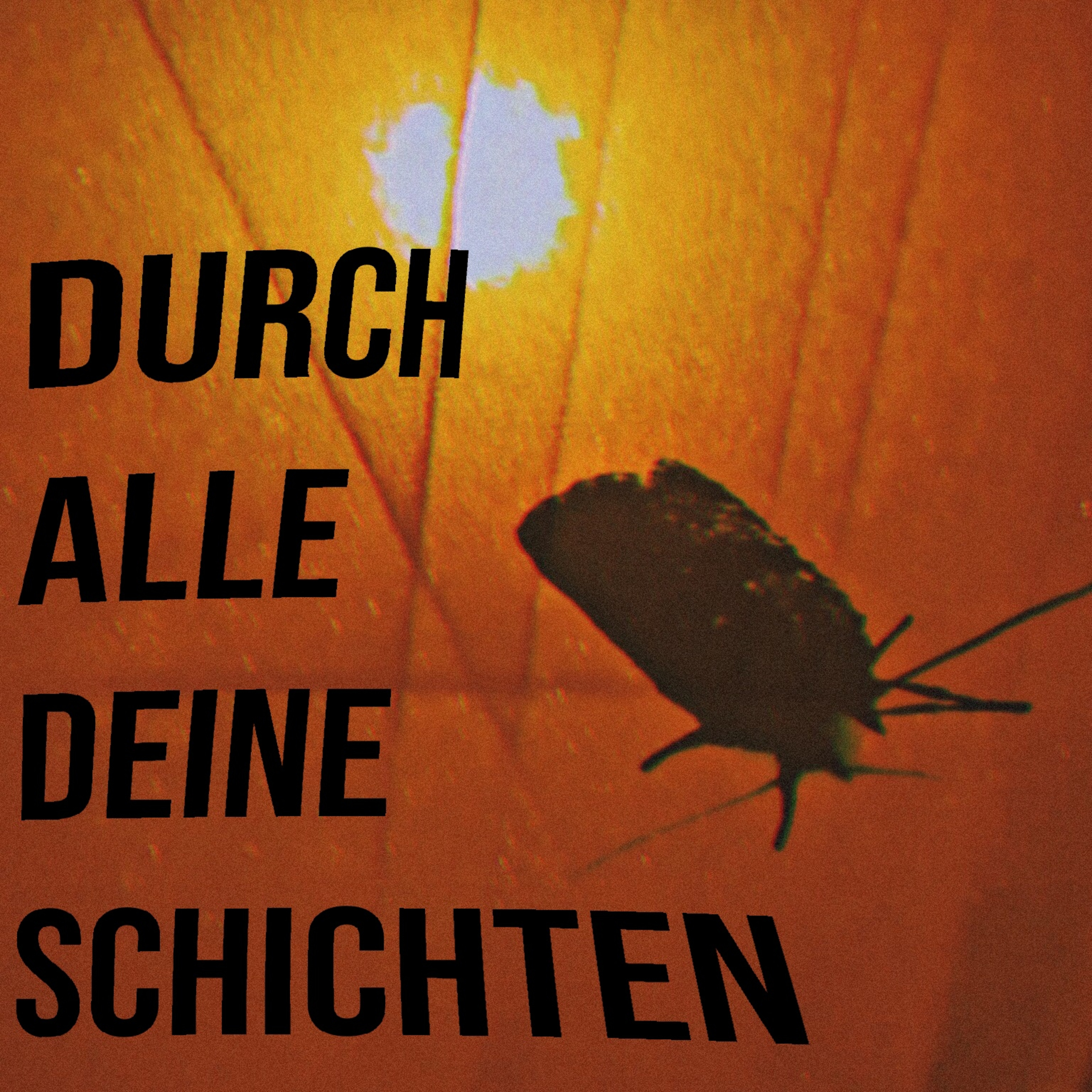 im prismenschimmer des außengleitens [unter die haut 1] thumbnail