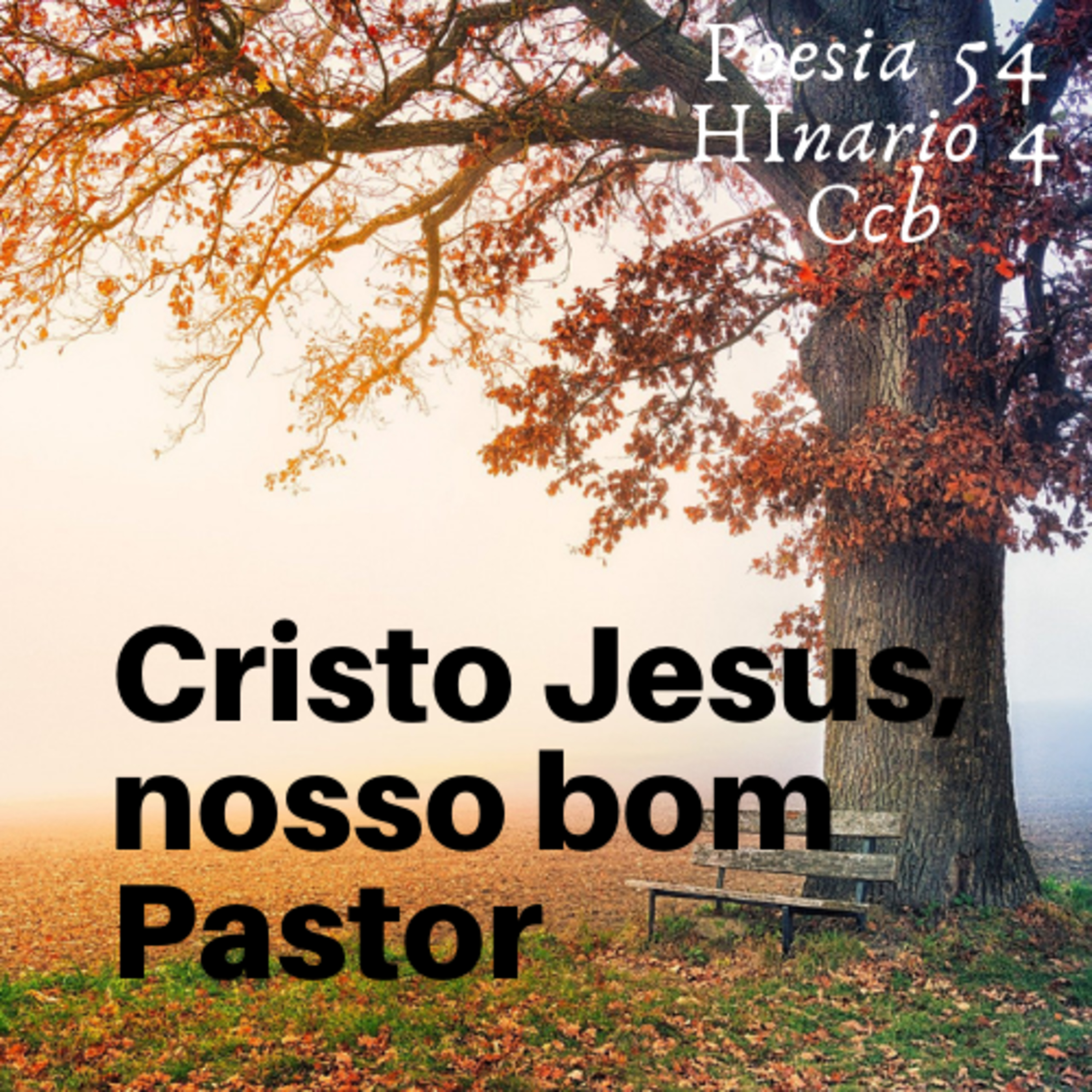 Edson Peres