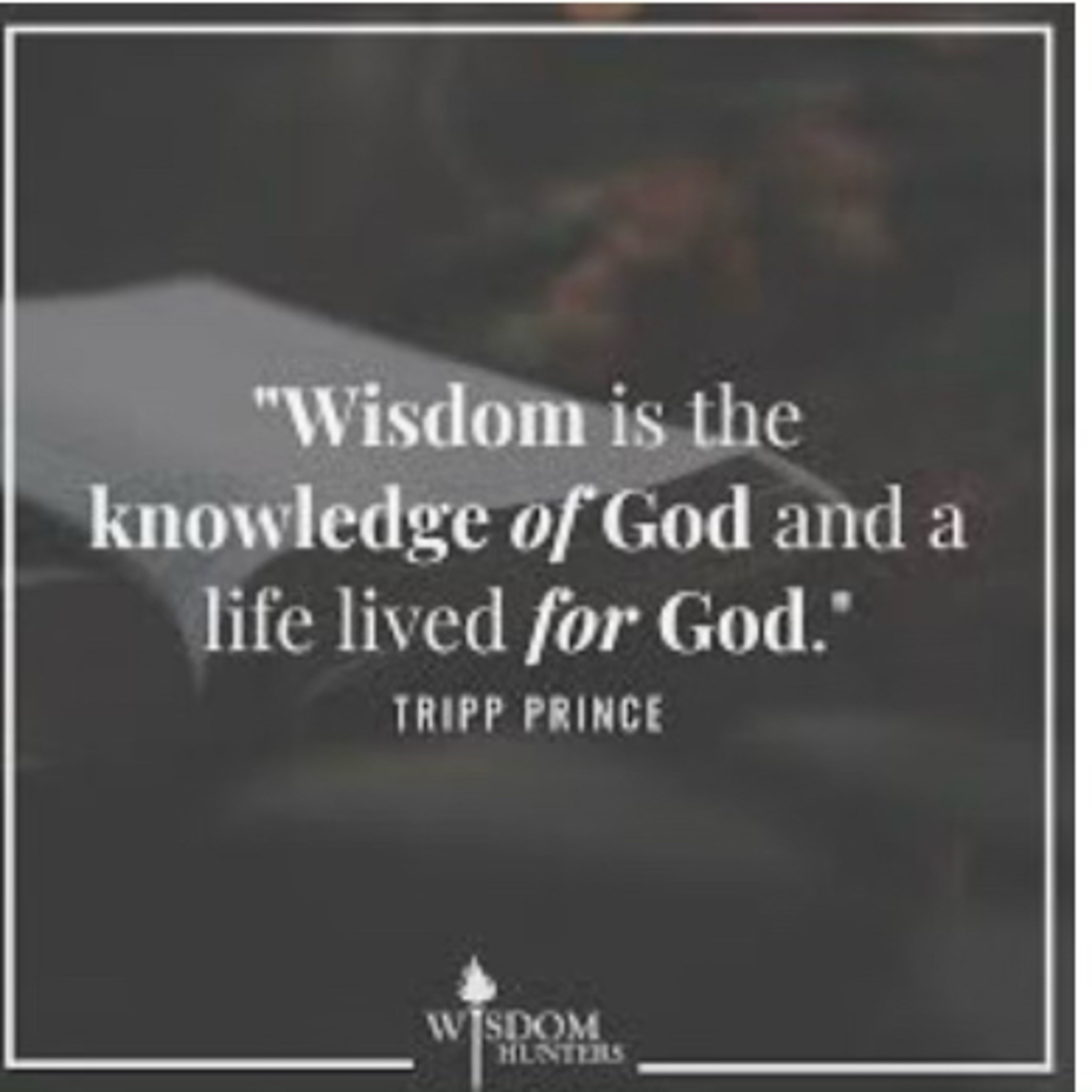 Wisdom is the Principle Thing! episode artwork