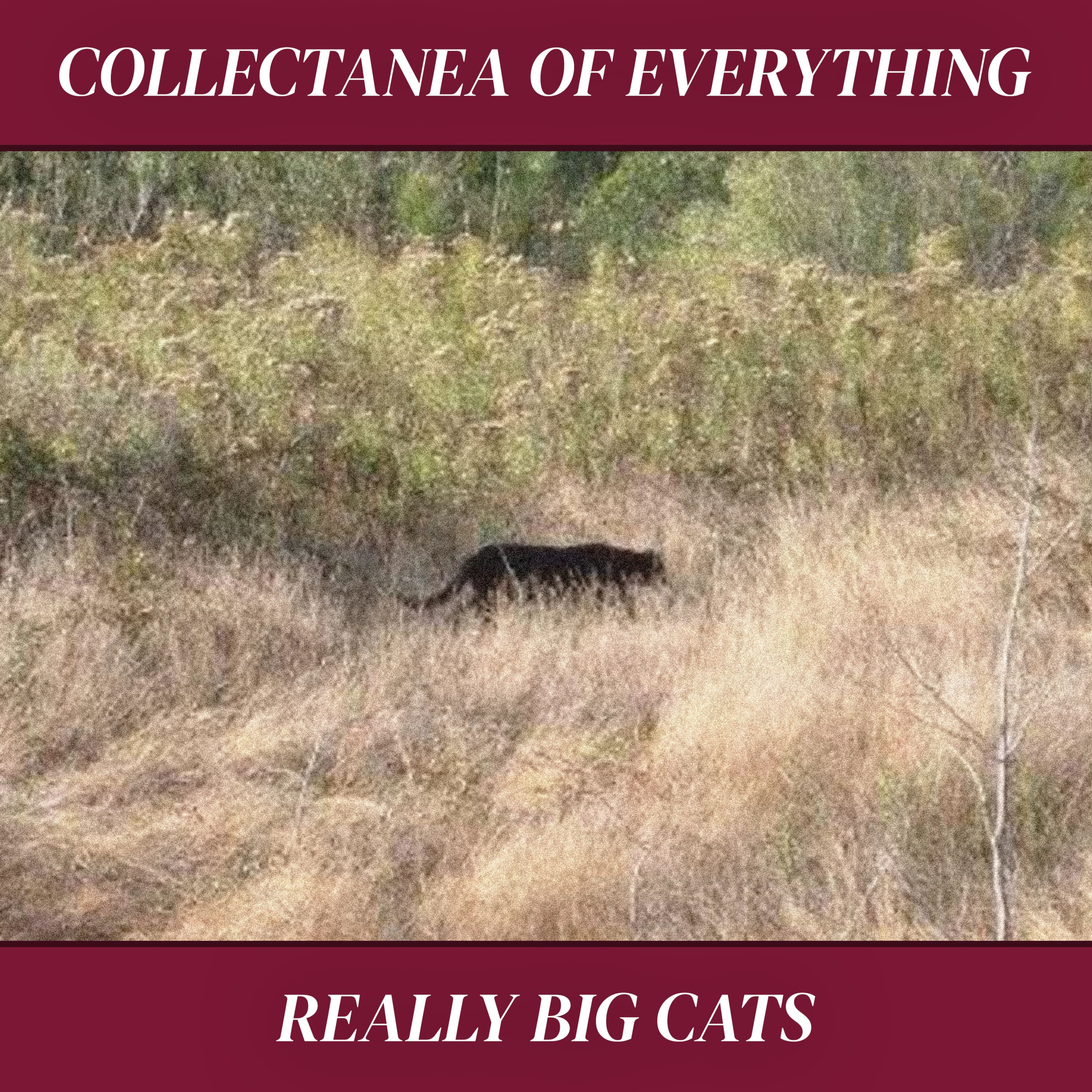Collectanea of Everything