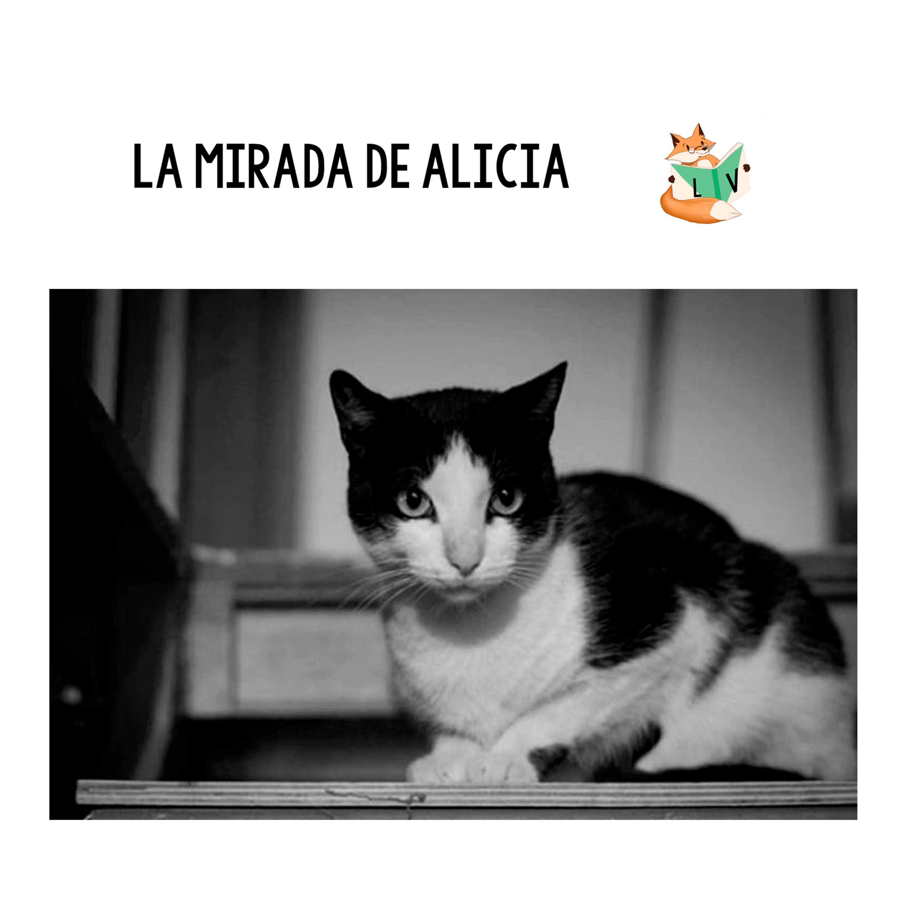 Lecturas Veganas