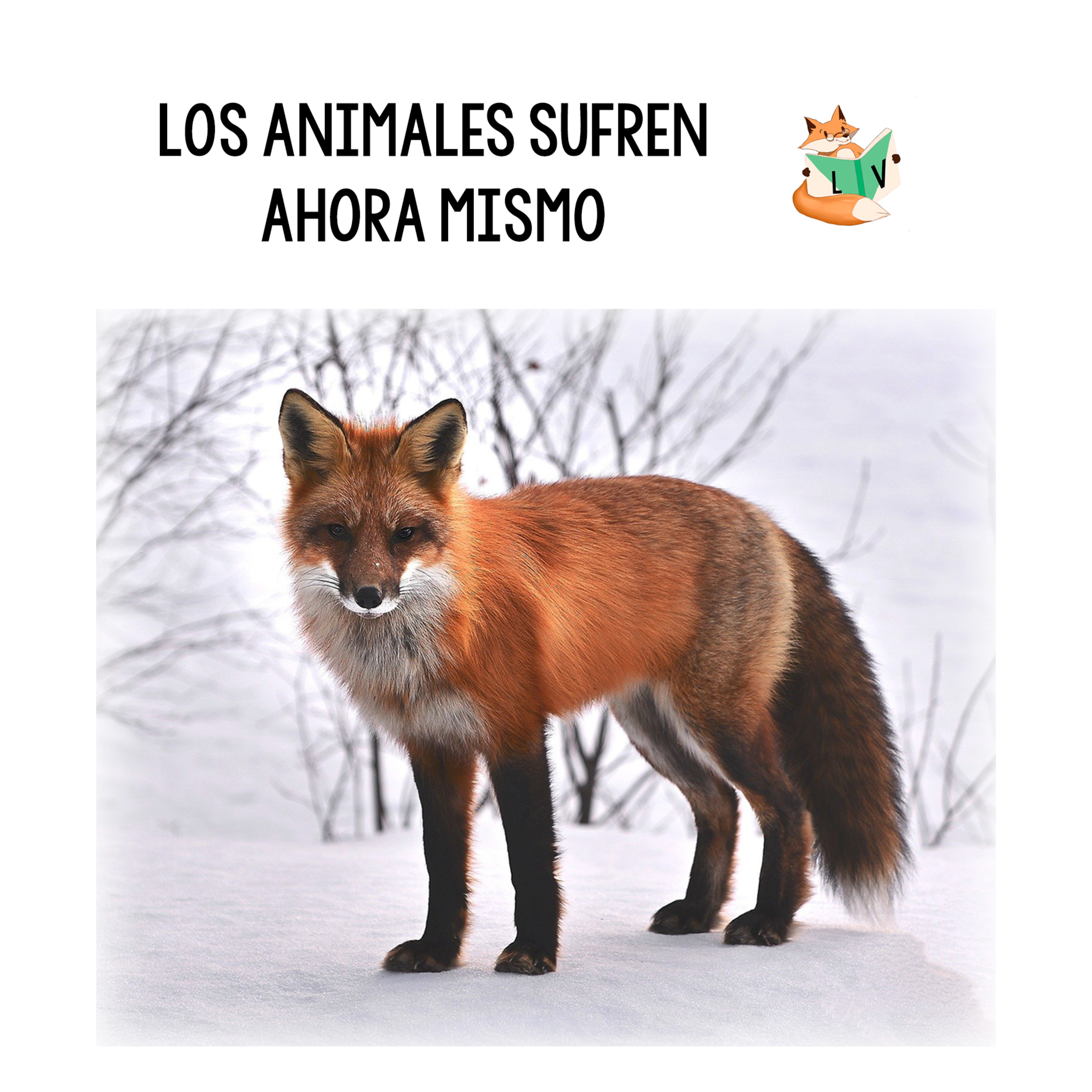 Lecturas Veganas
