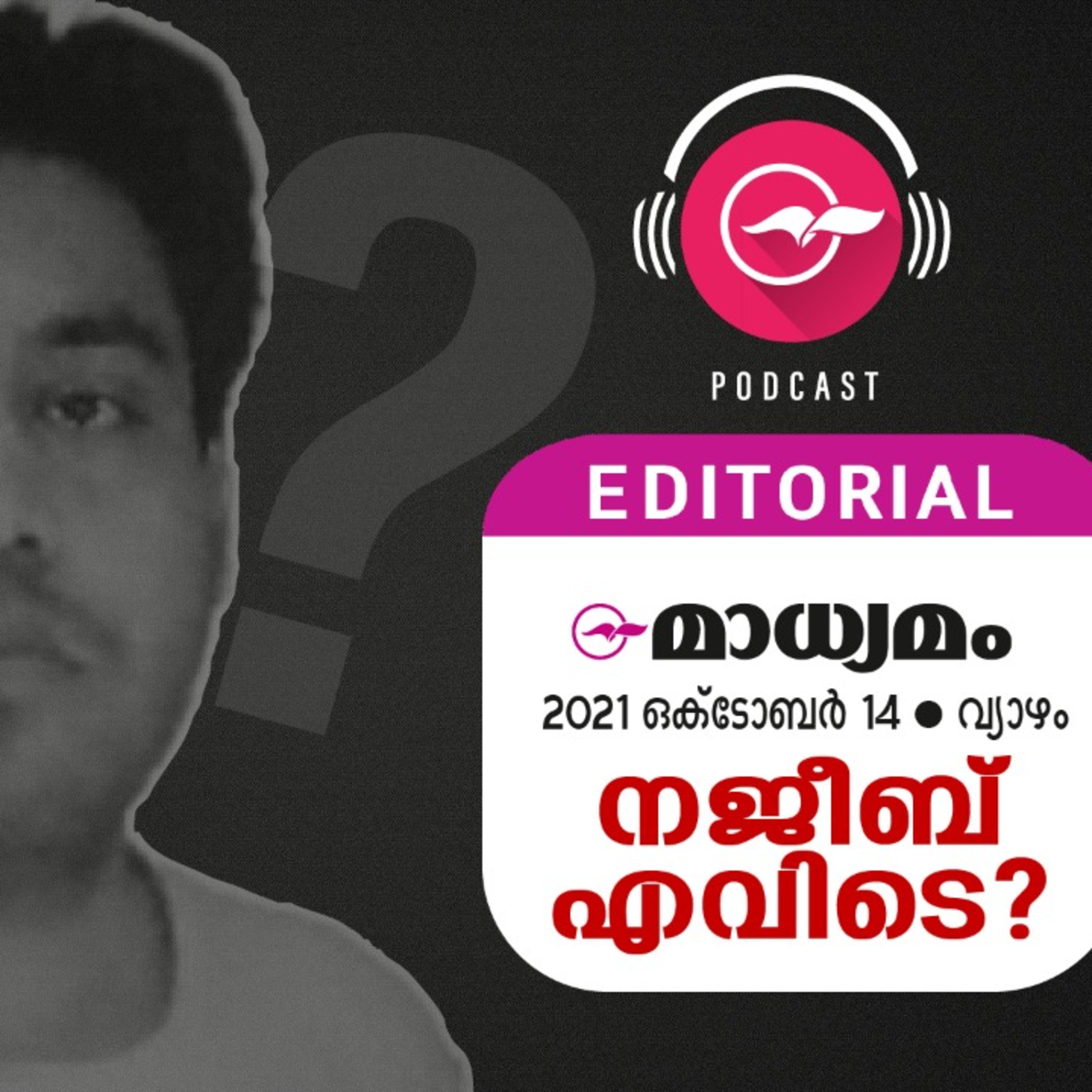 നജീബ് എവിടെ? episode artwork
