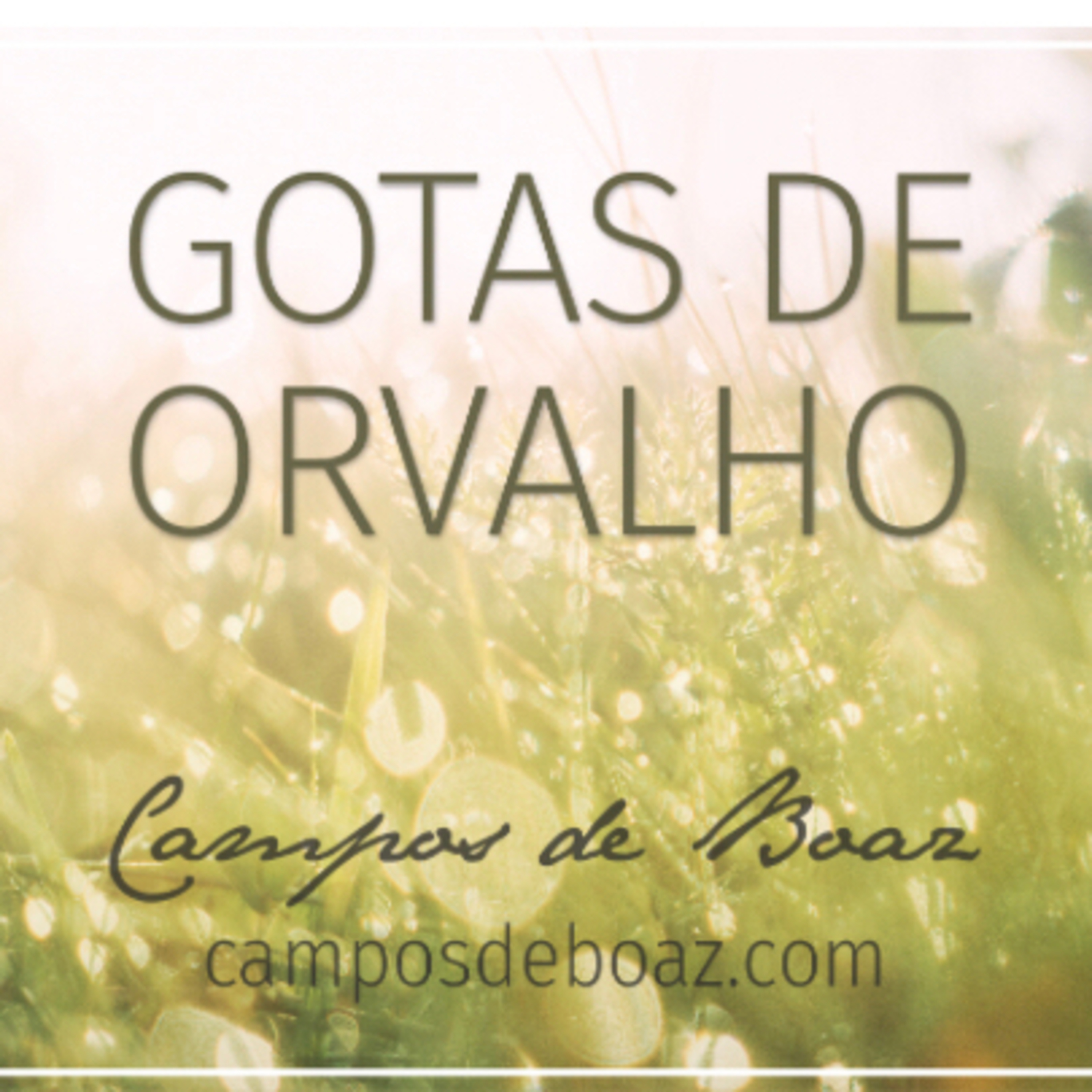 Campos de Boaz