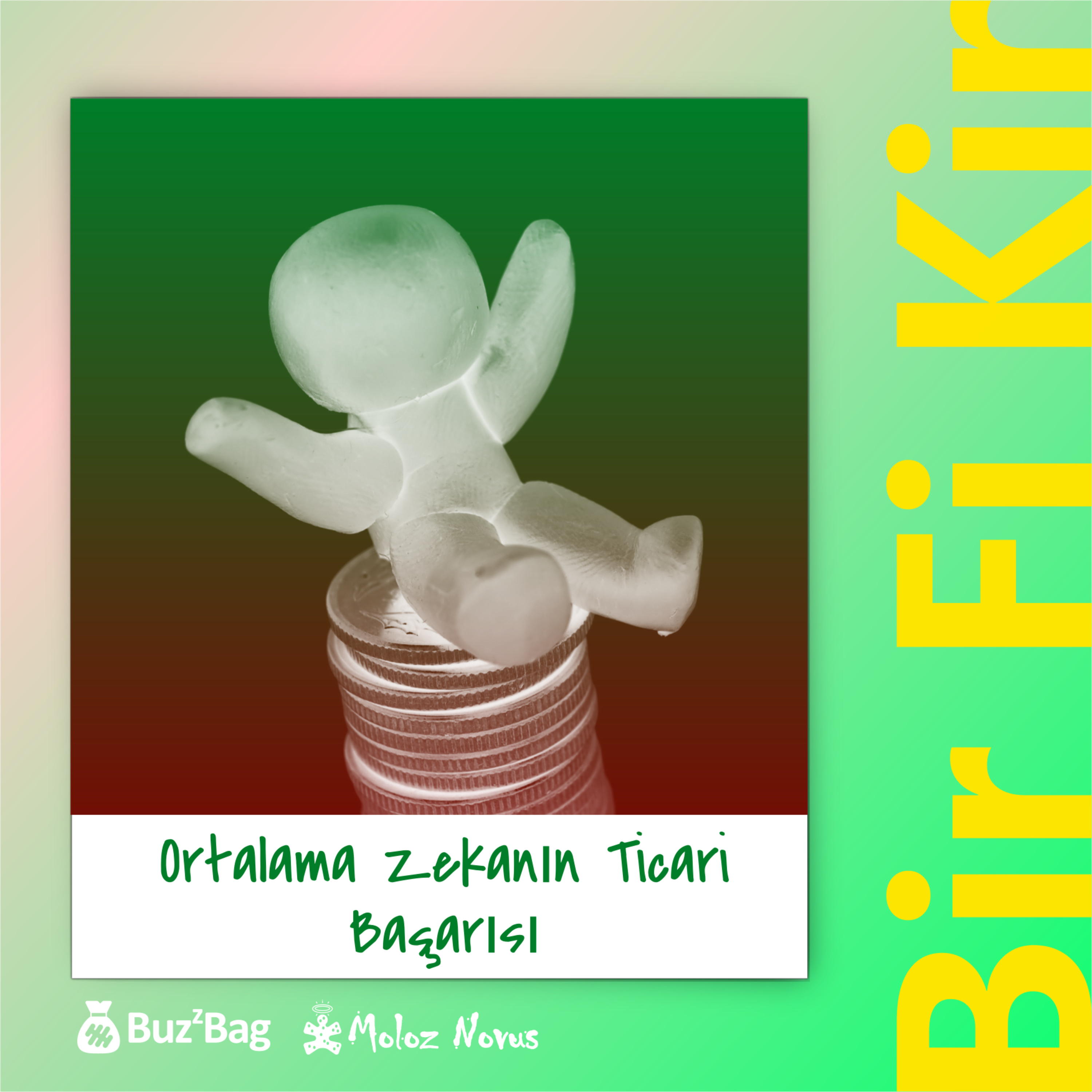 Ayarlama Enstitüsü