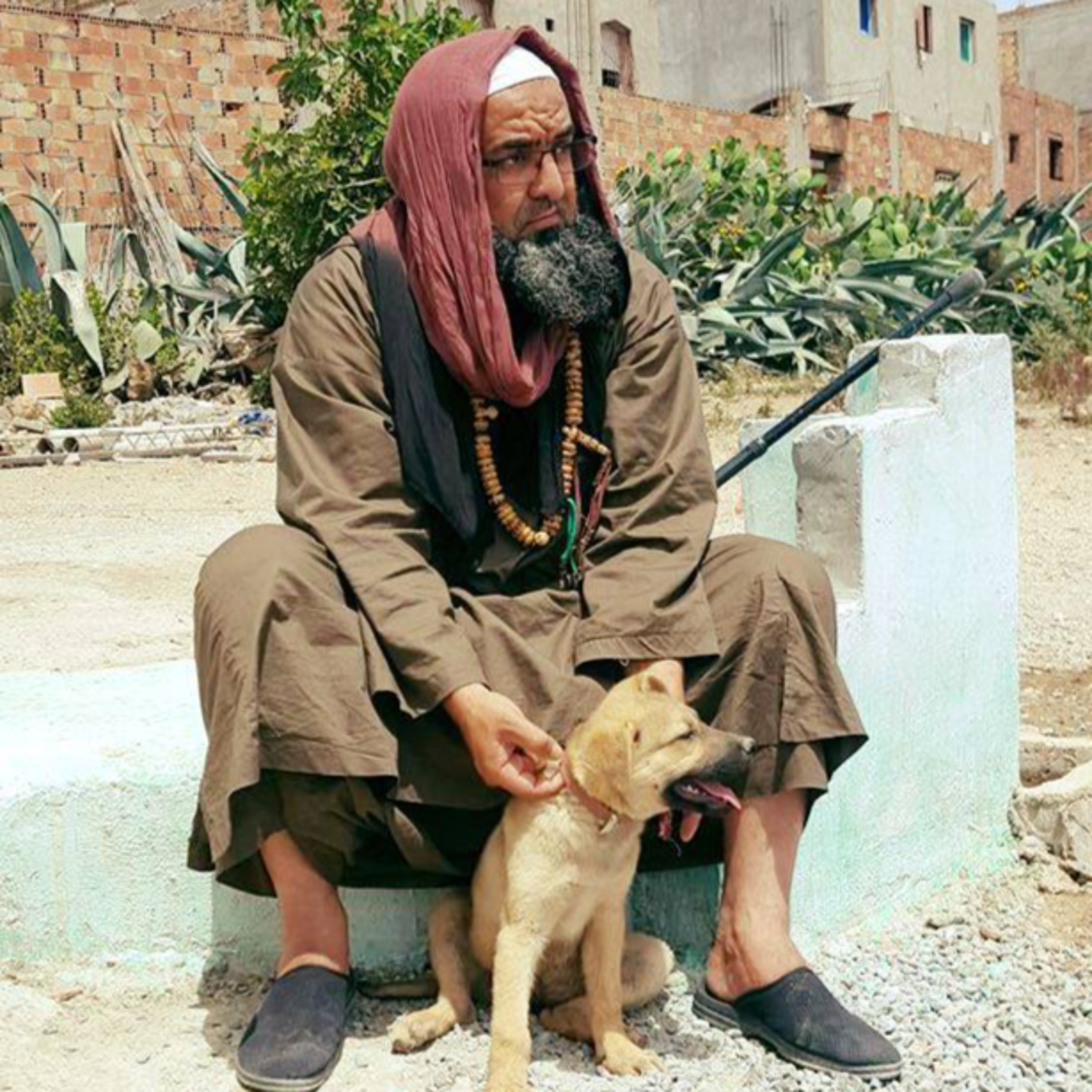 The Sufis of Morocco
