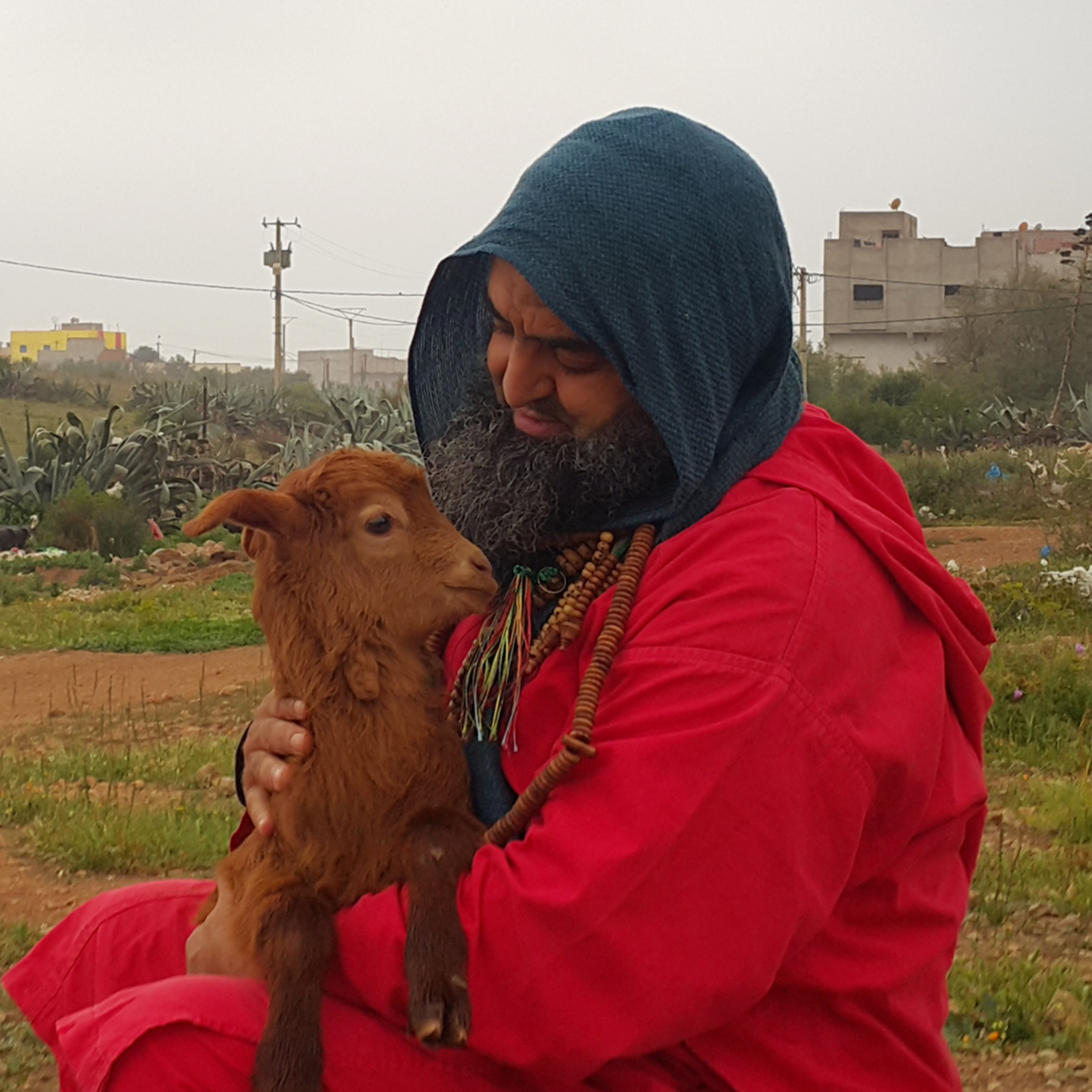 The Sufis of Morocco