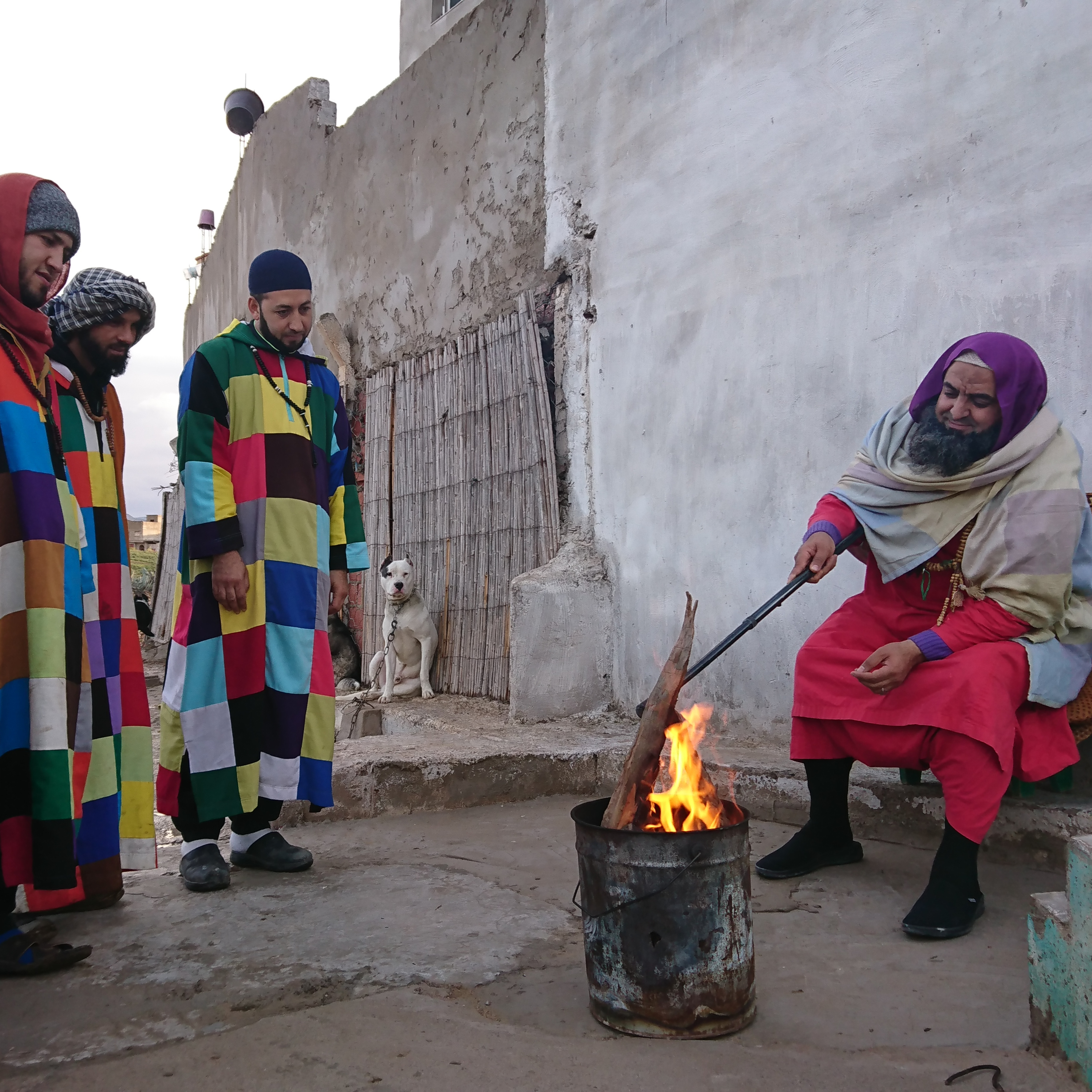 The Sufis of Morocco