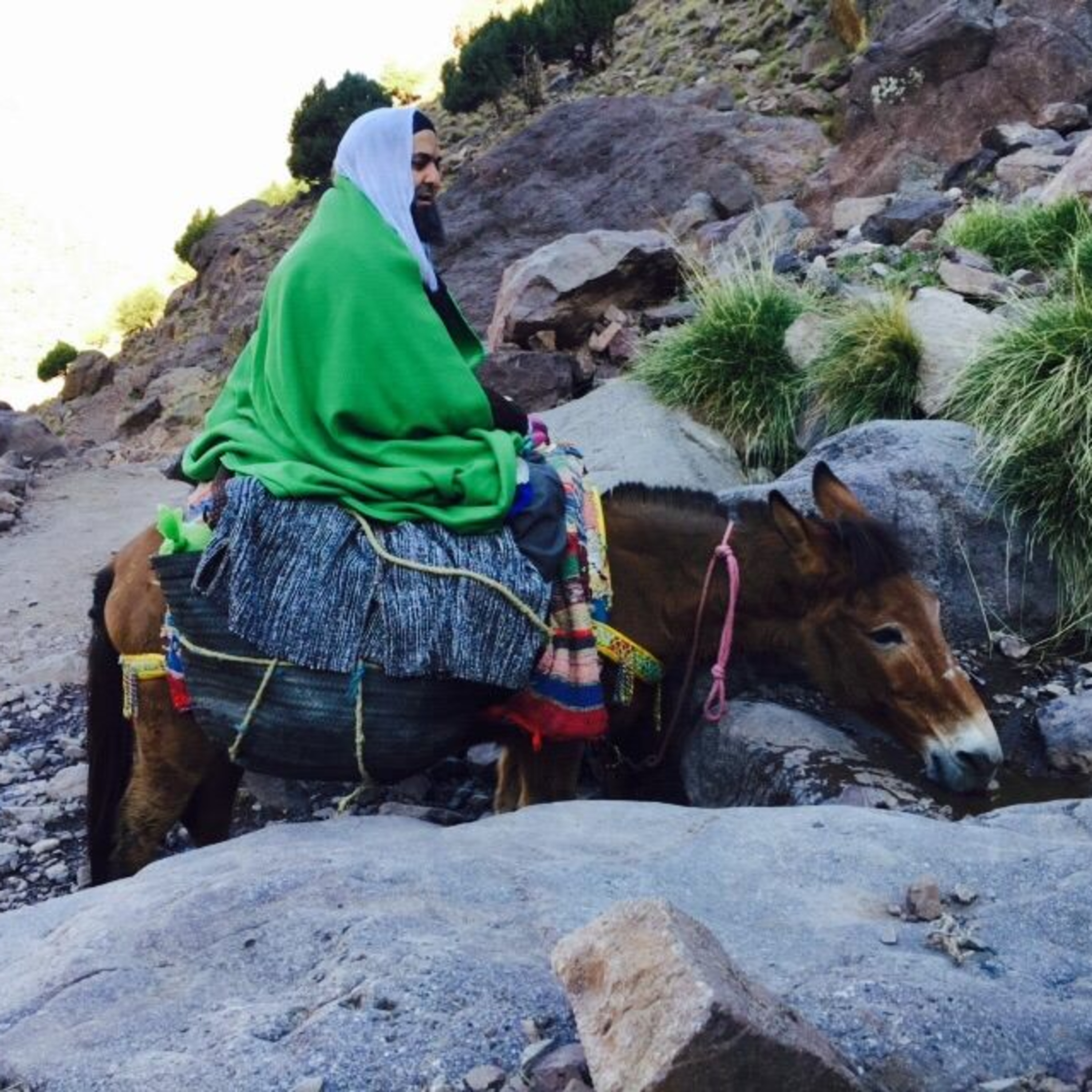 The Sufis of Morocco