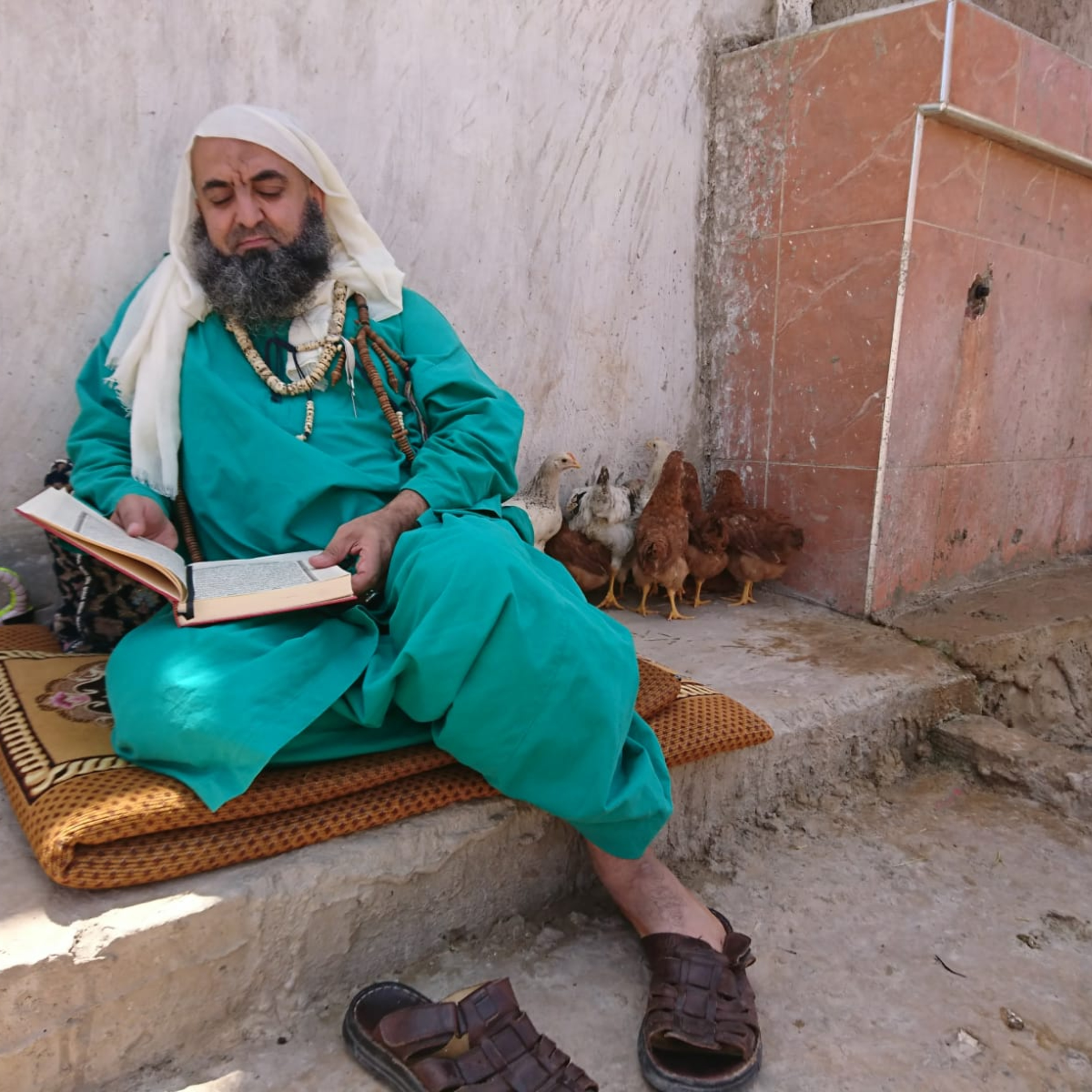 Everything Praises God. Here's How to Witness It (Reflections on Surah al-Nur 40-44)