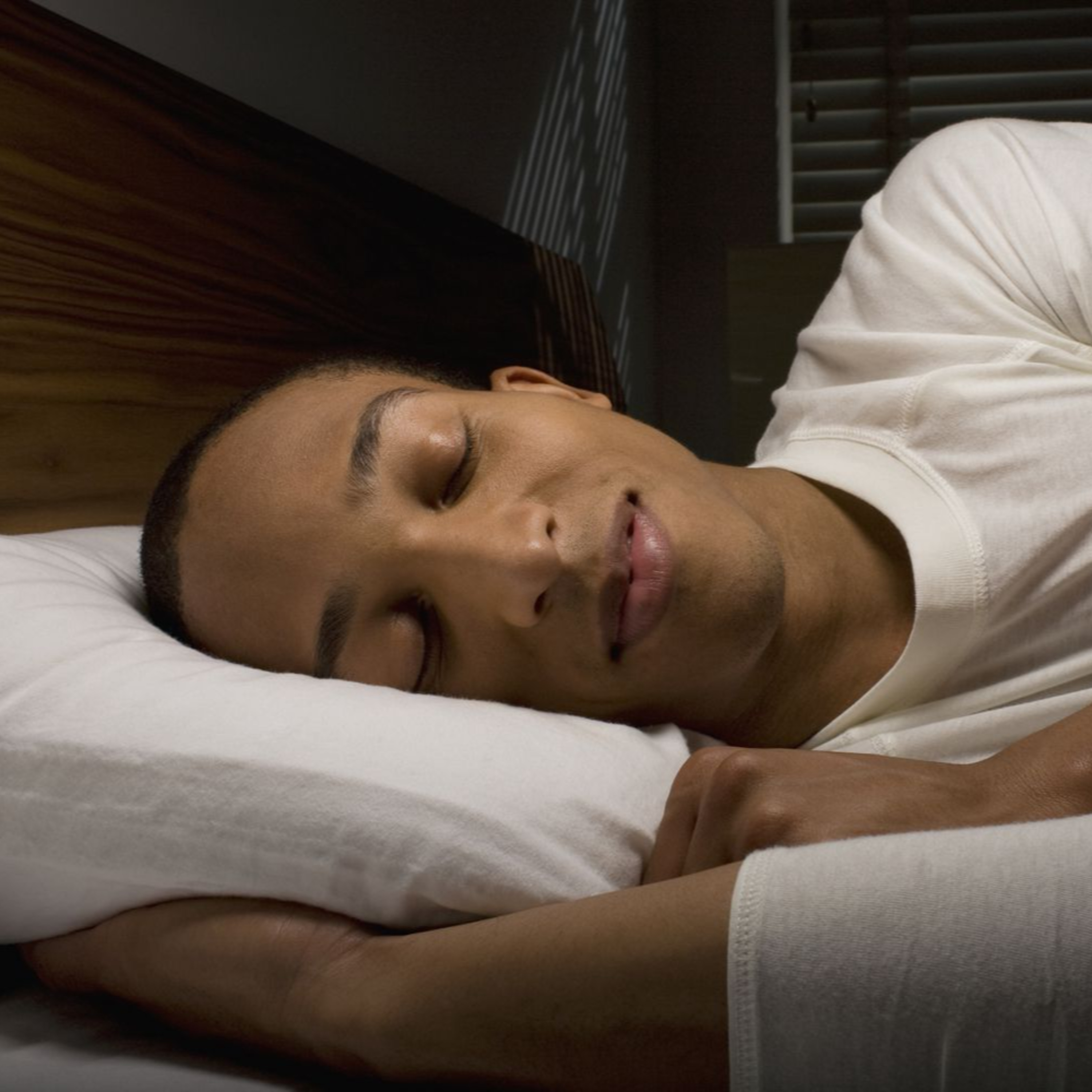 The Science of Sleep episode artwork