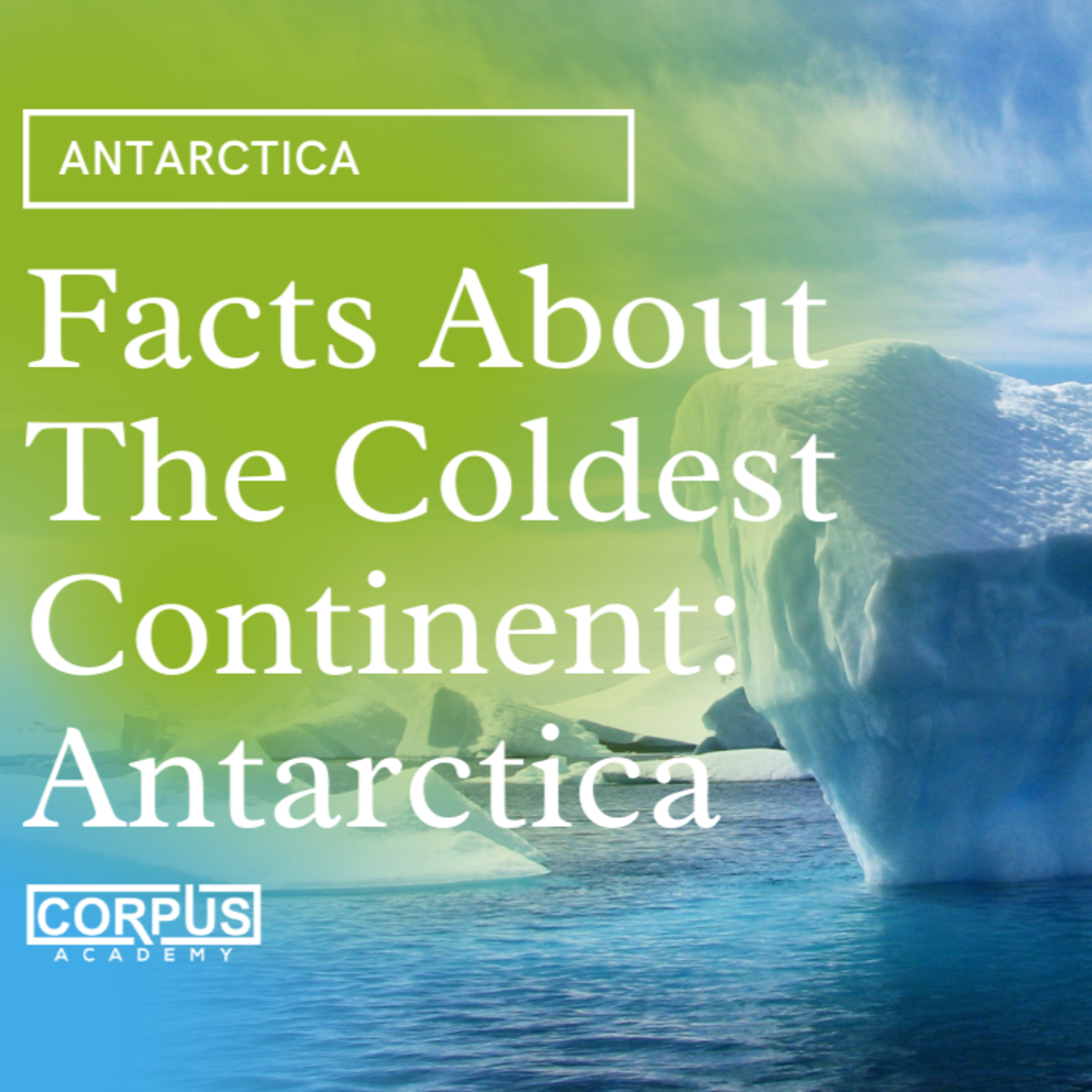 Antarctica: Facts About The Coldest Continent