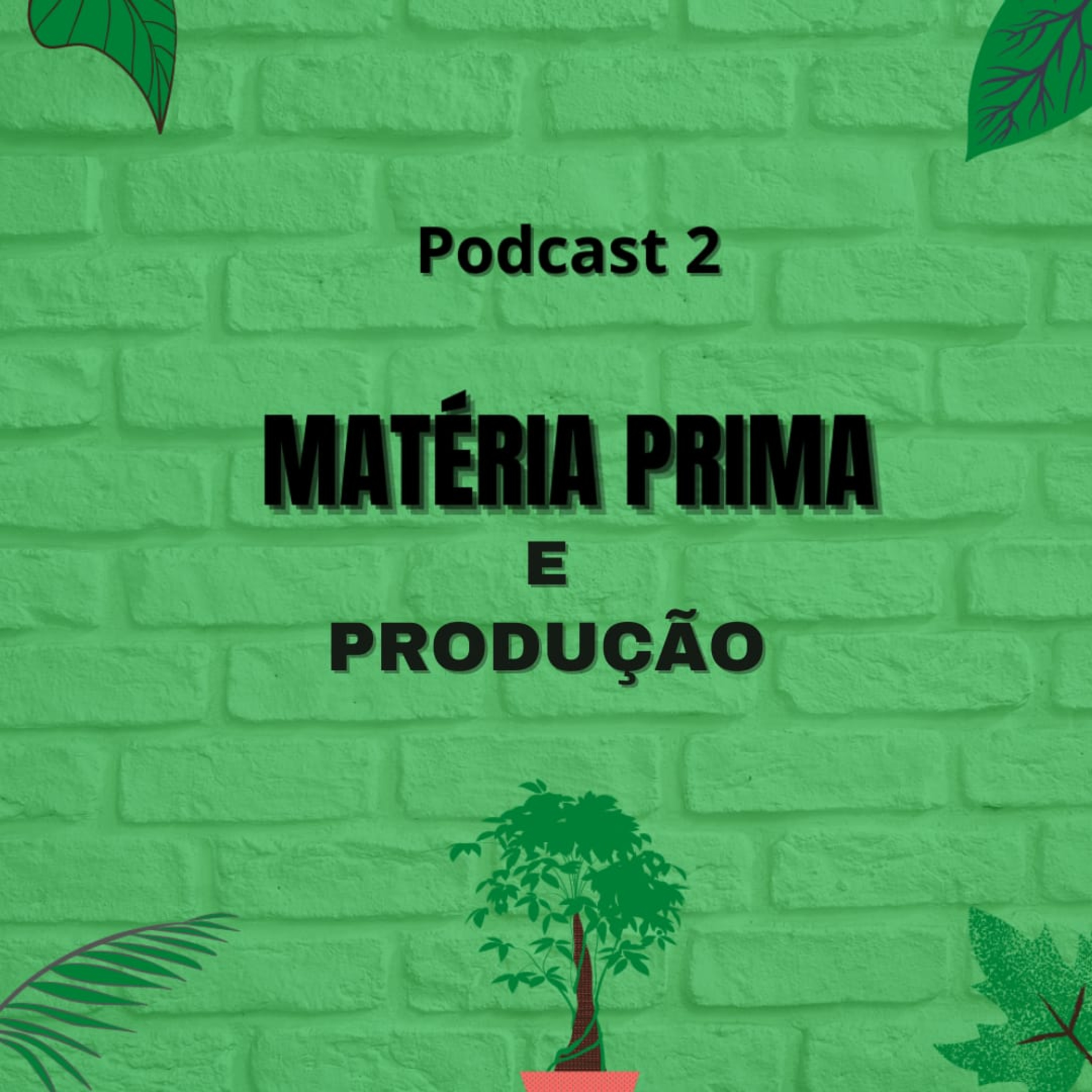 2° Podcast - Matéria-prima e Produção