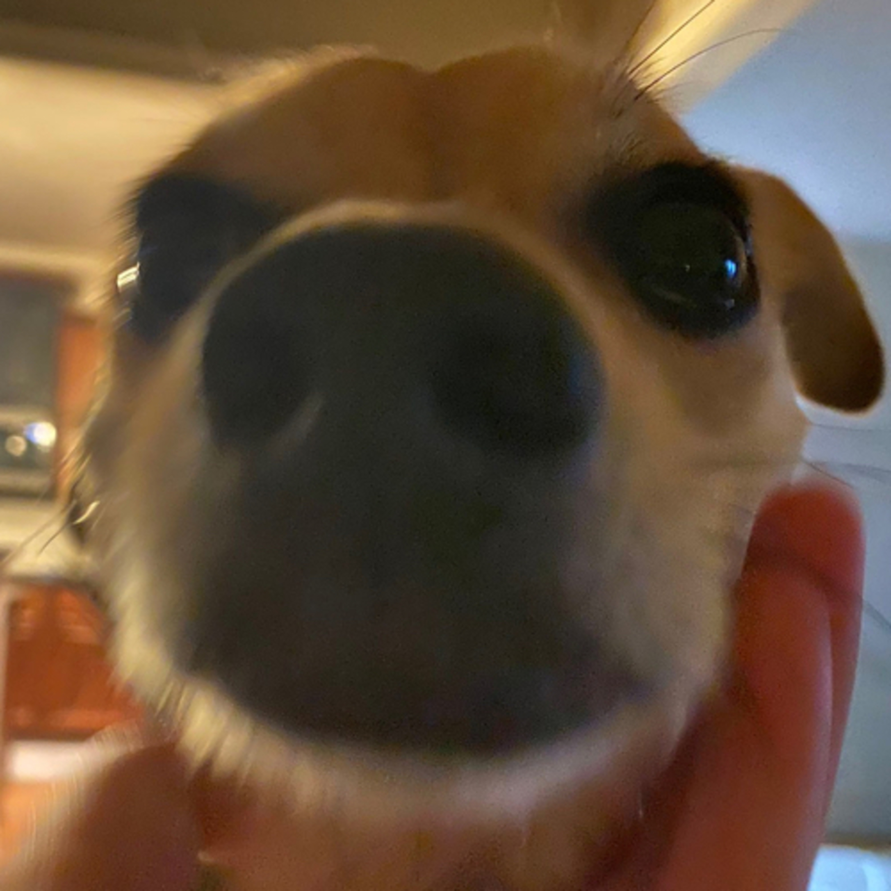 just some friends talking