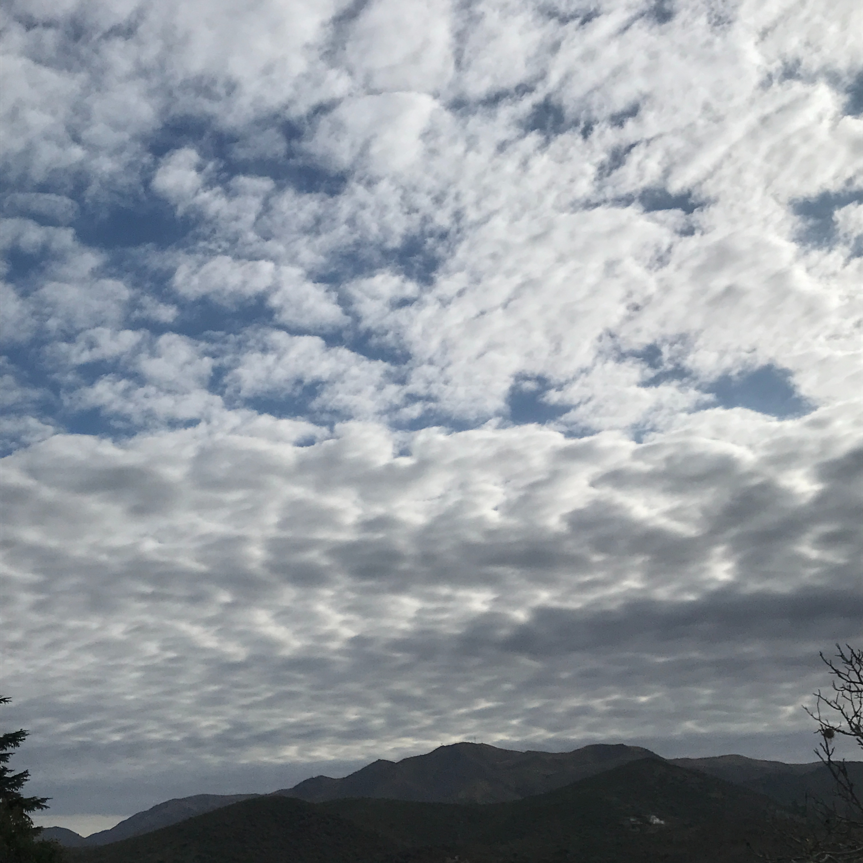 Viento Habla