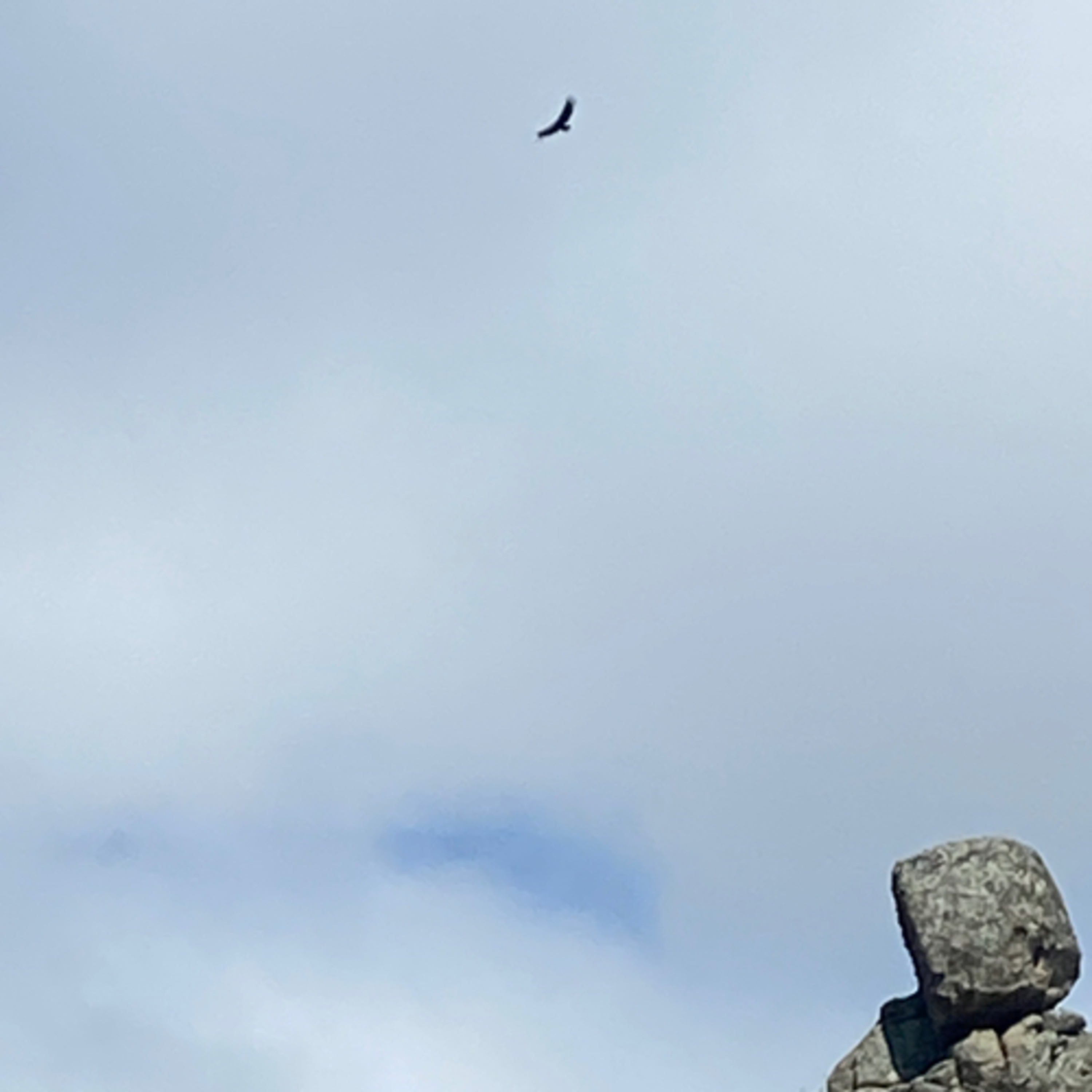 Viento Habla