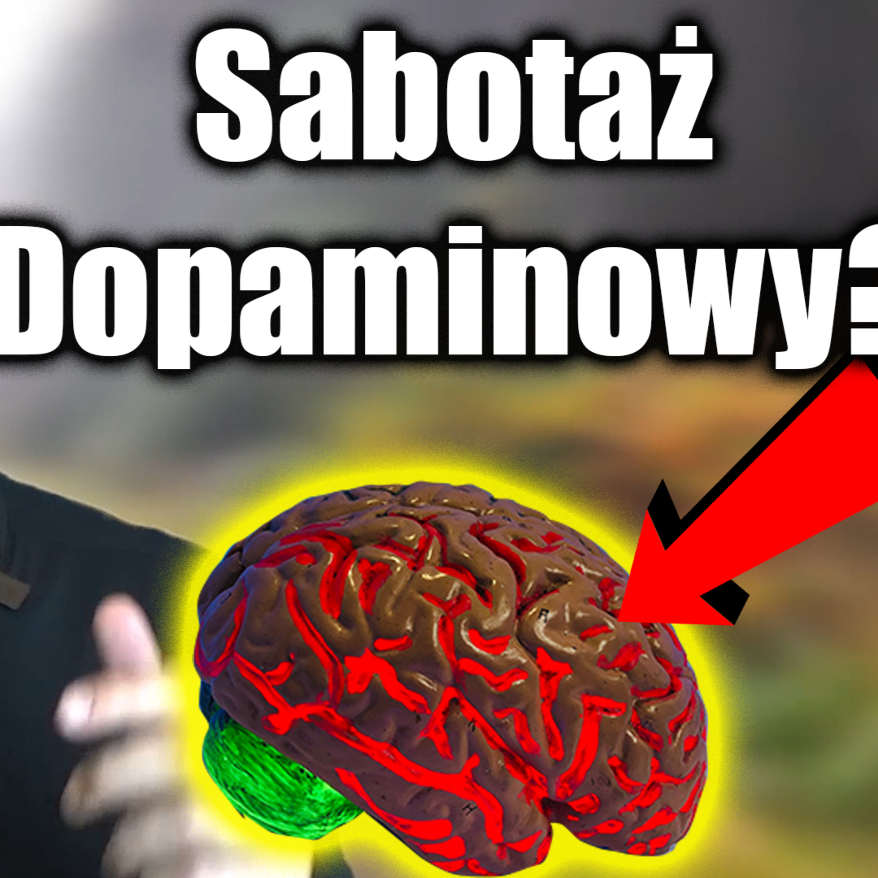 Życie Poczciwe