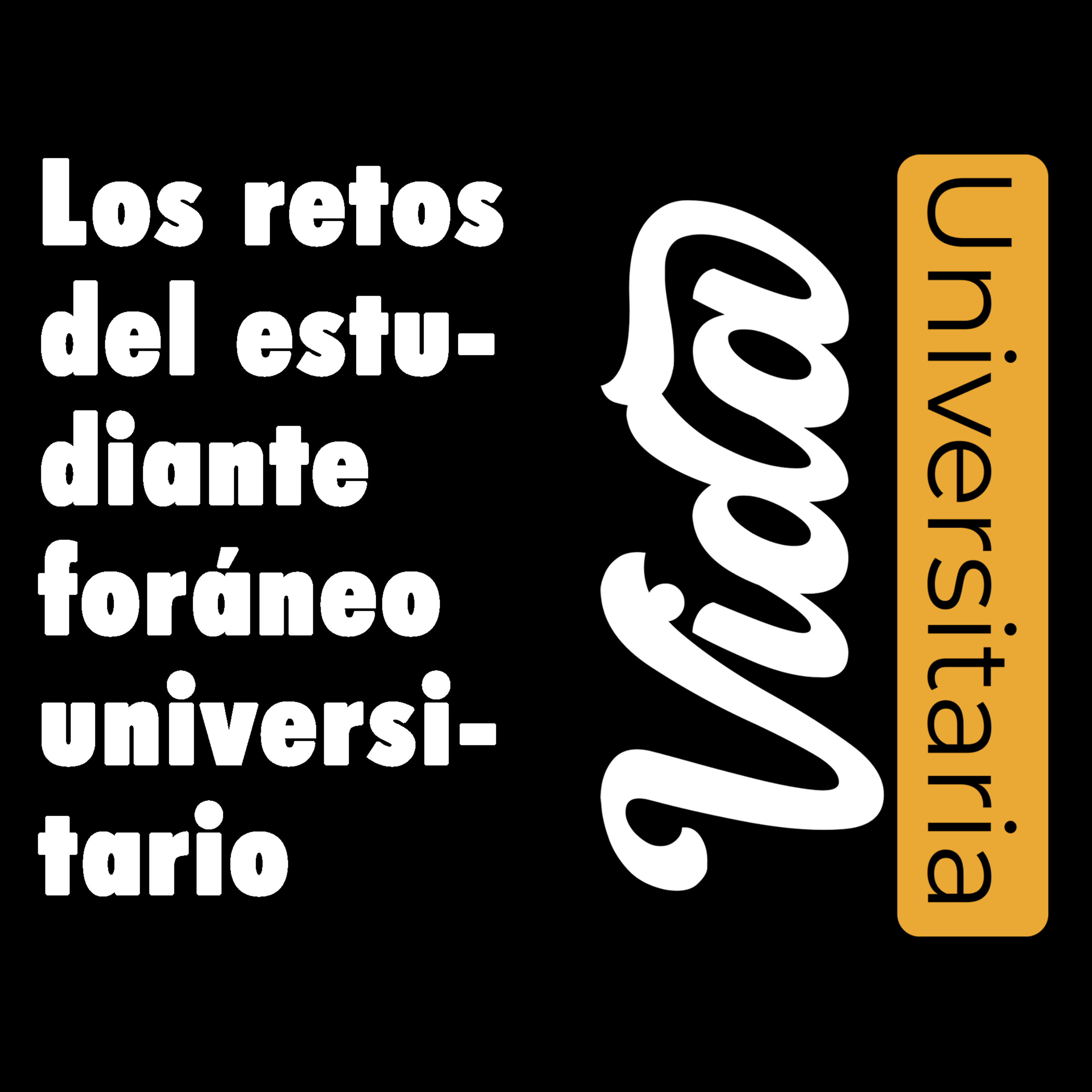 Vida Universitaria