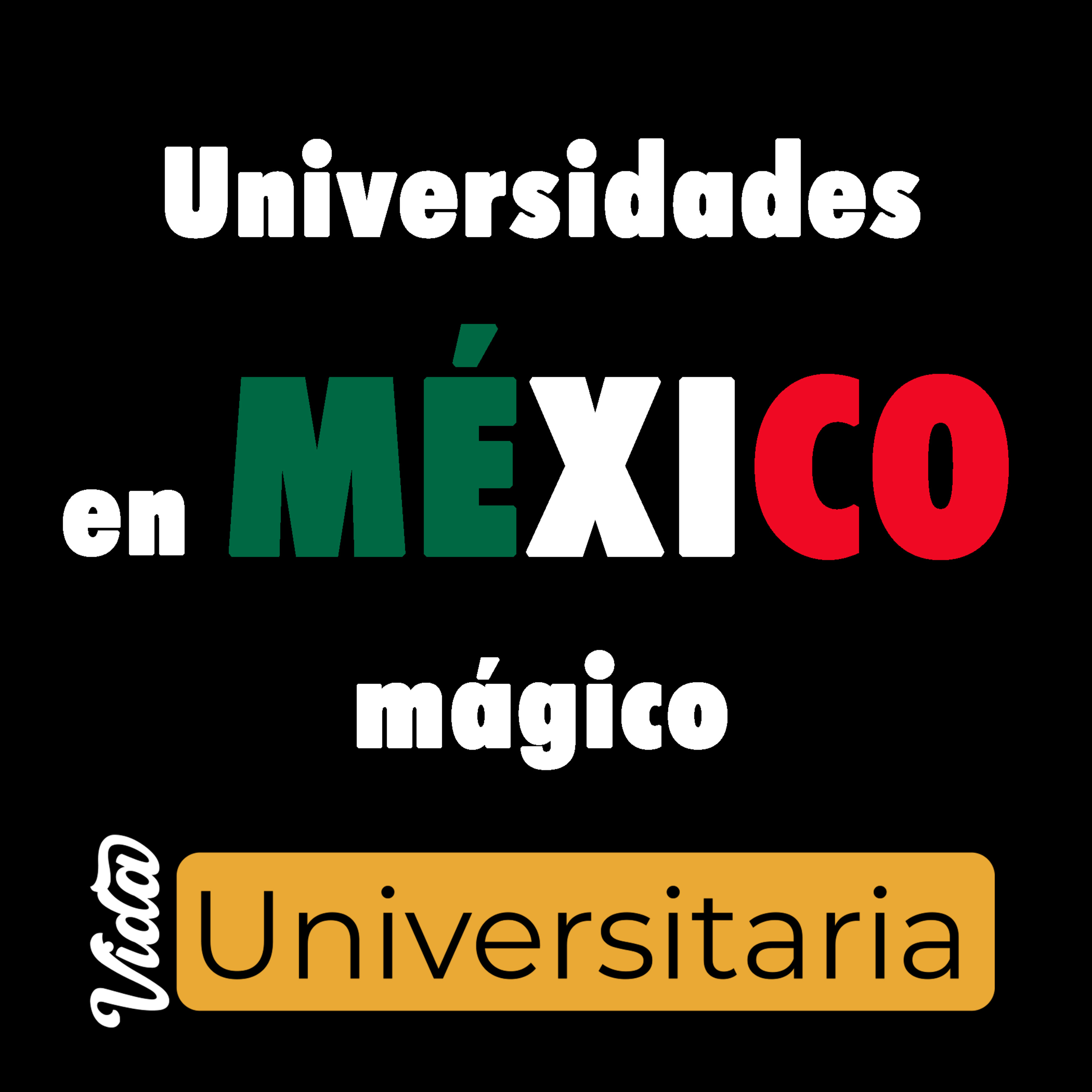 Vida Universitaria