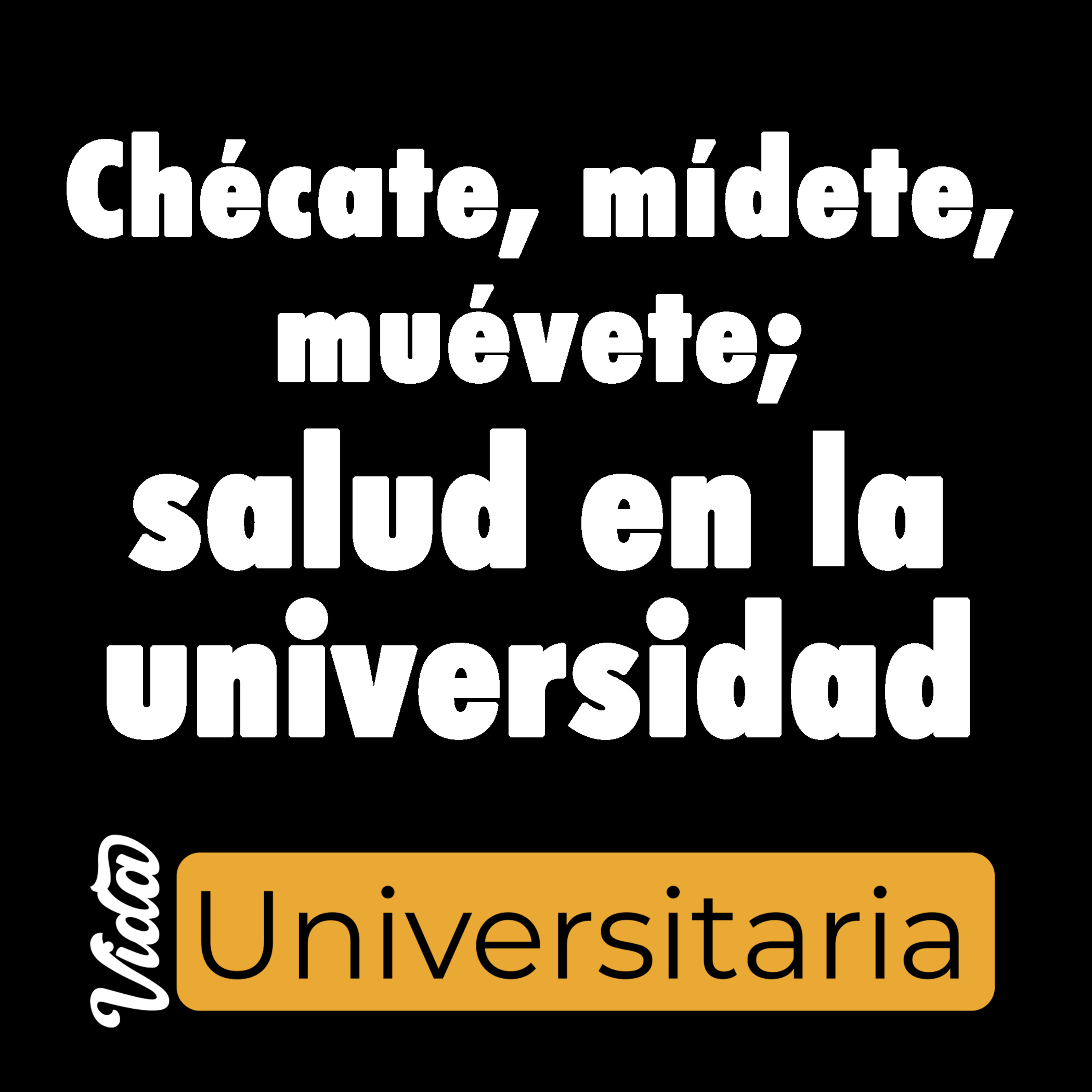 Vida Universitaria