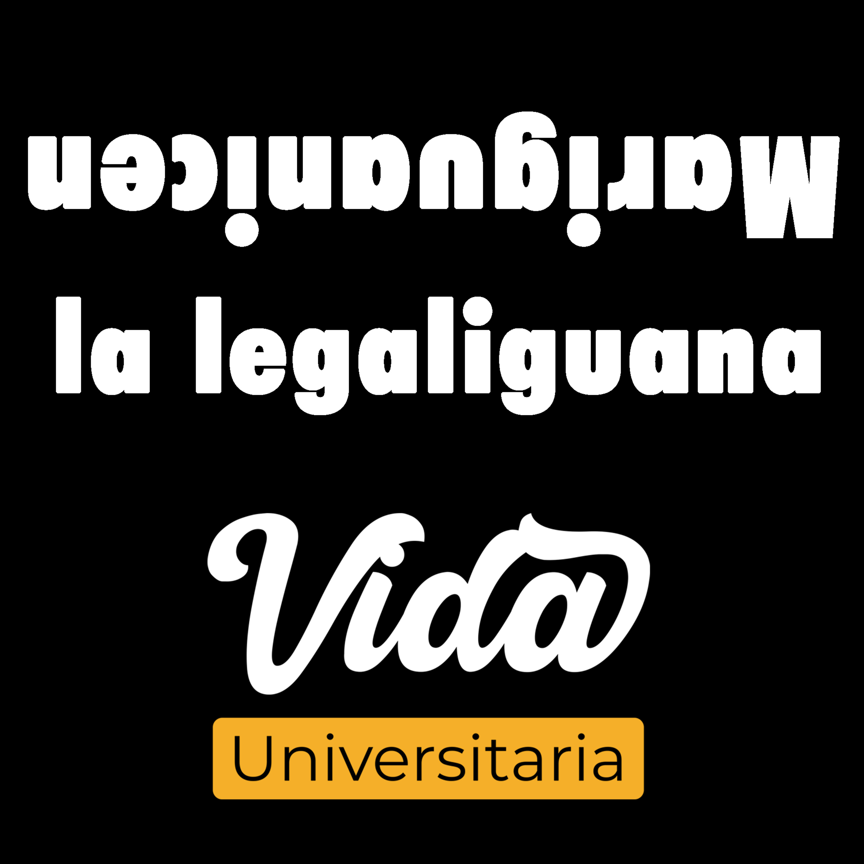Vida Universitaria