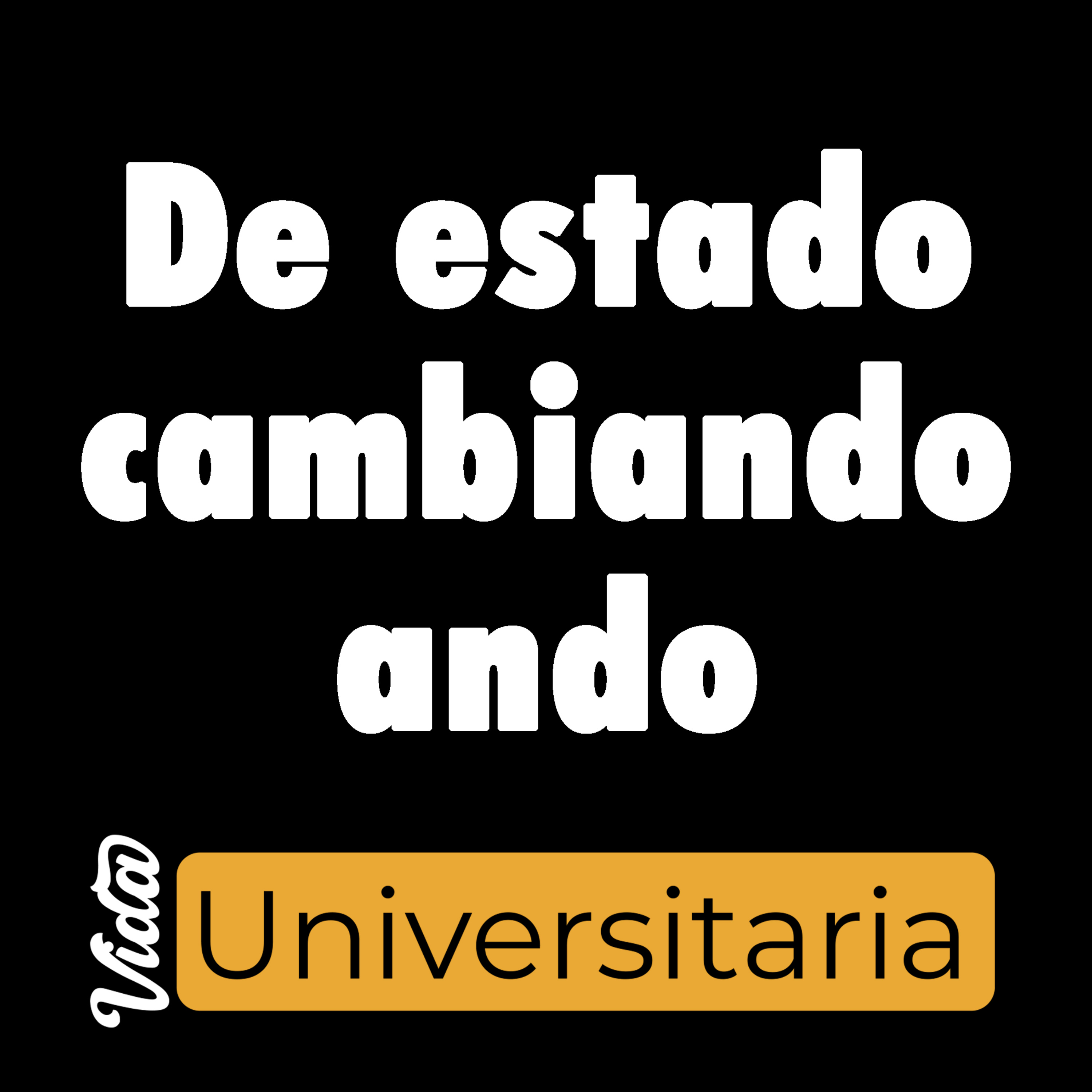 Vida Universitaria