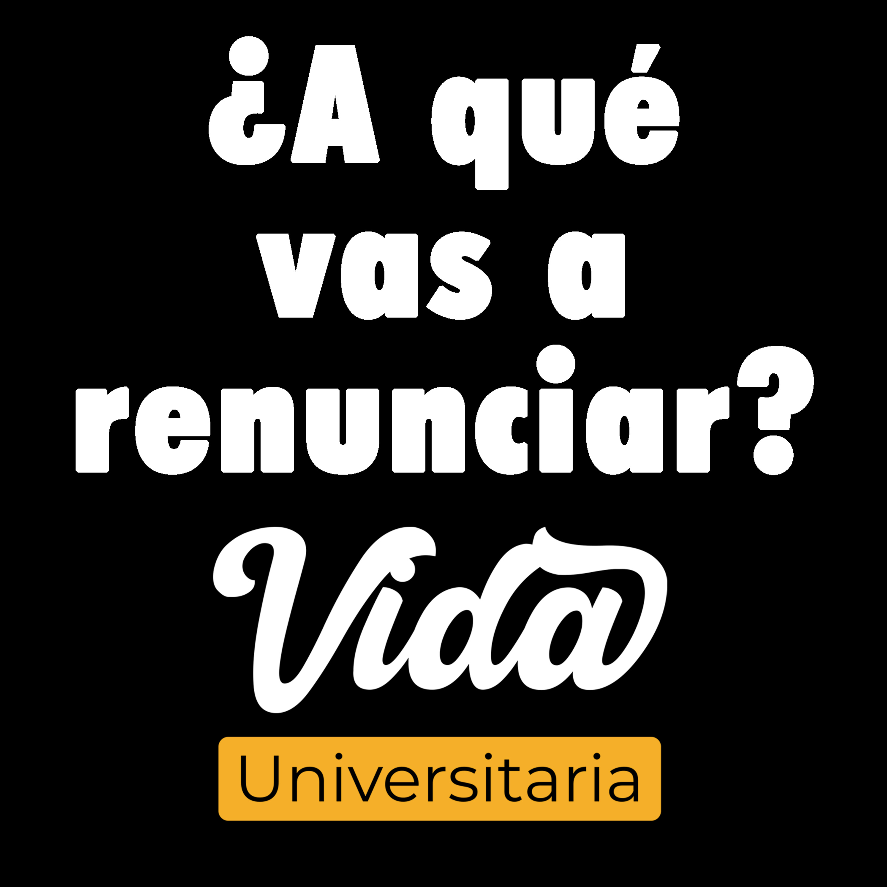 Vida Universitaria