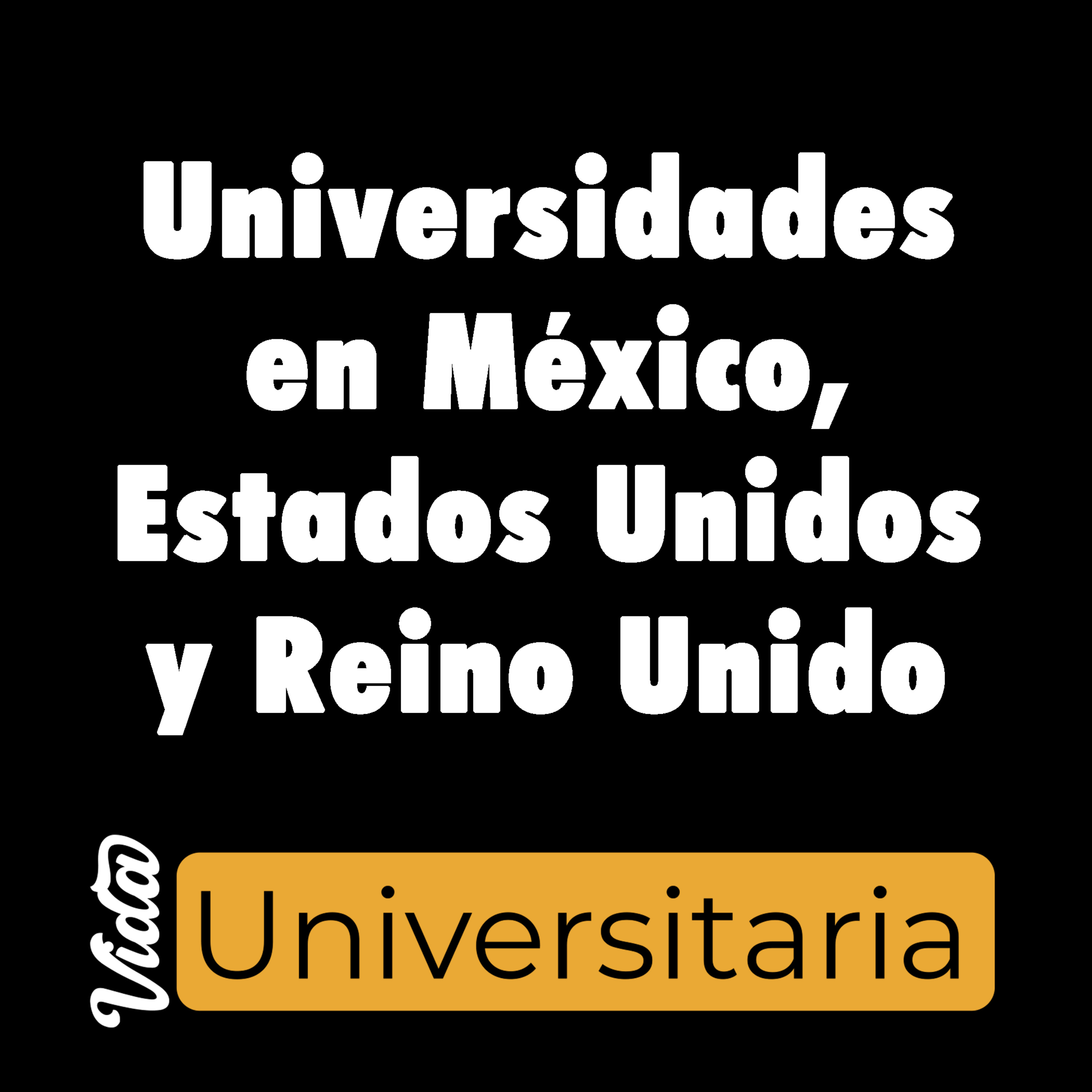 Vida Universitaria