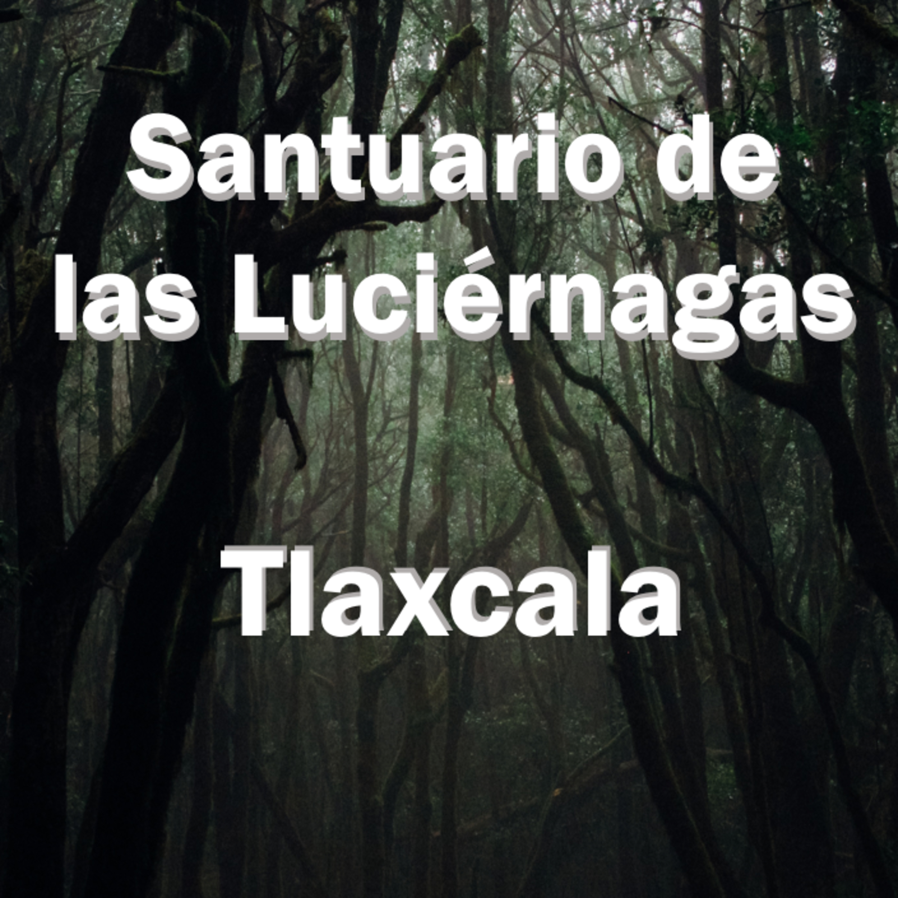 Potencia UMA