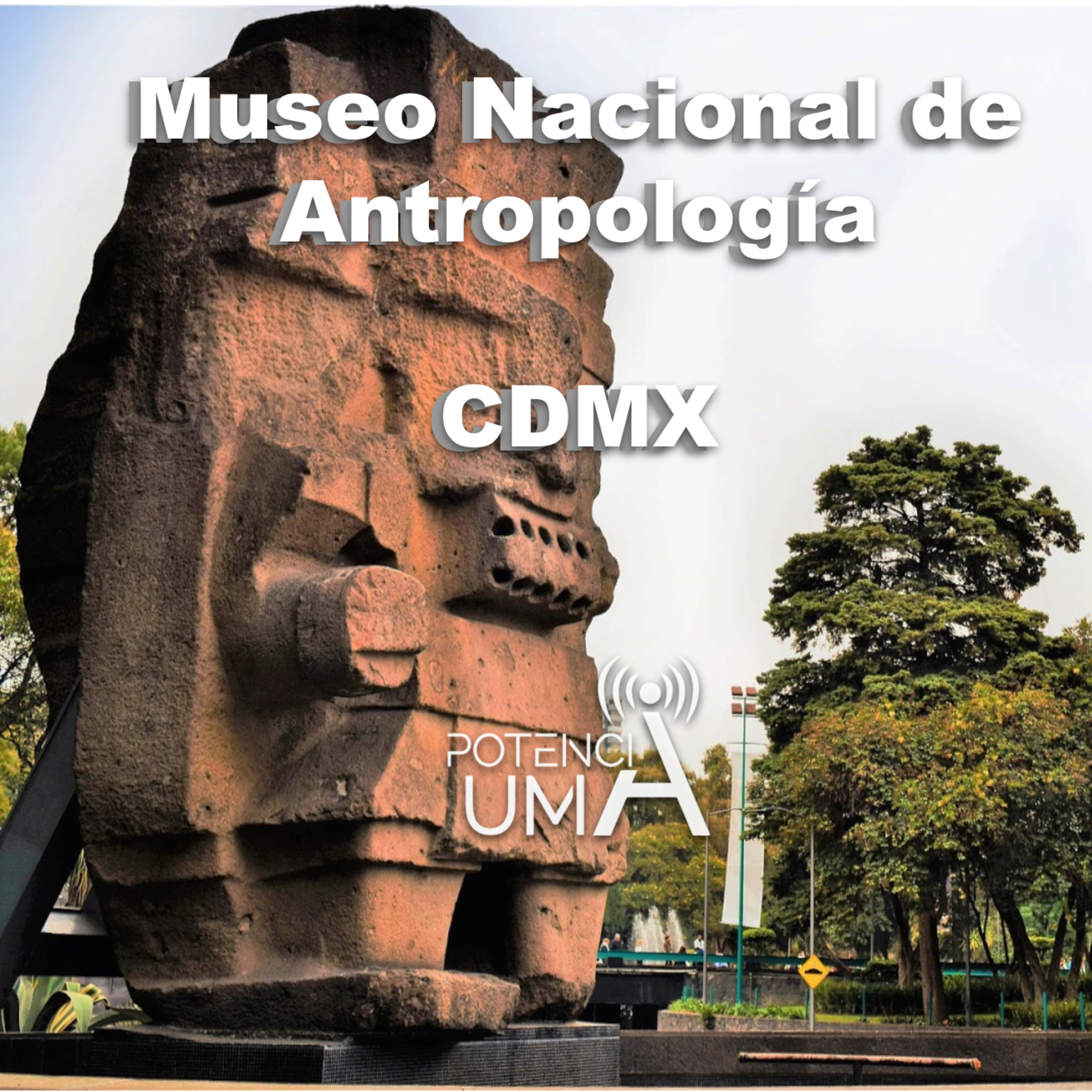 Potencia UMA