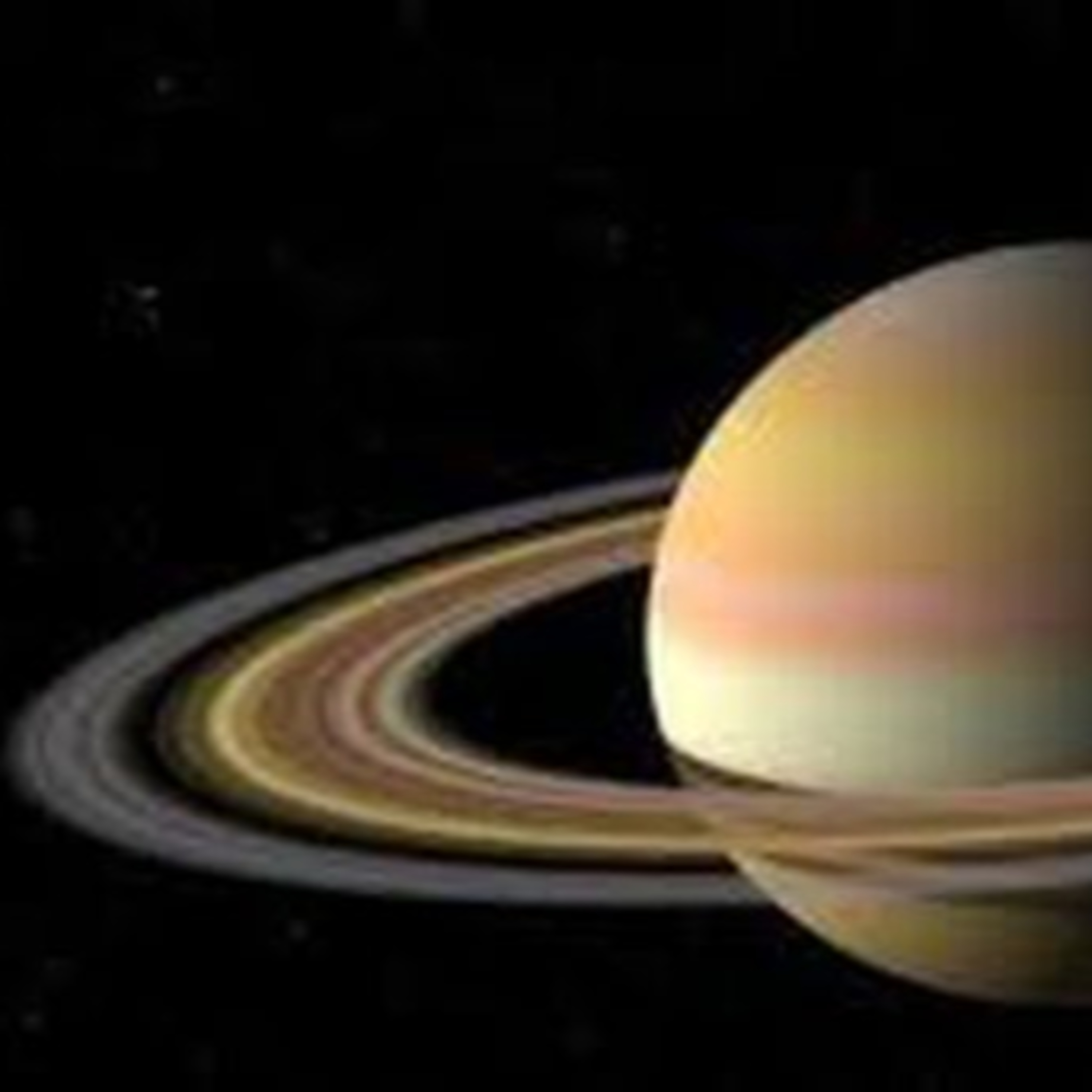 عشوائي مع أحمد