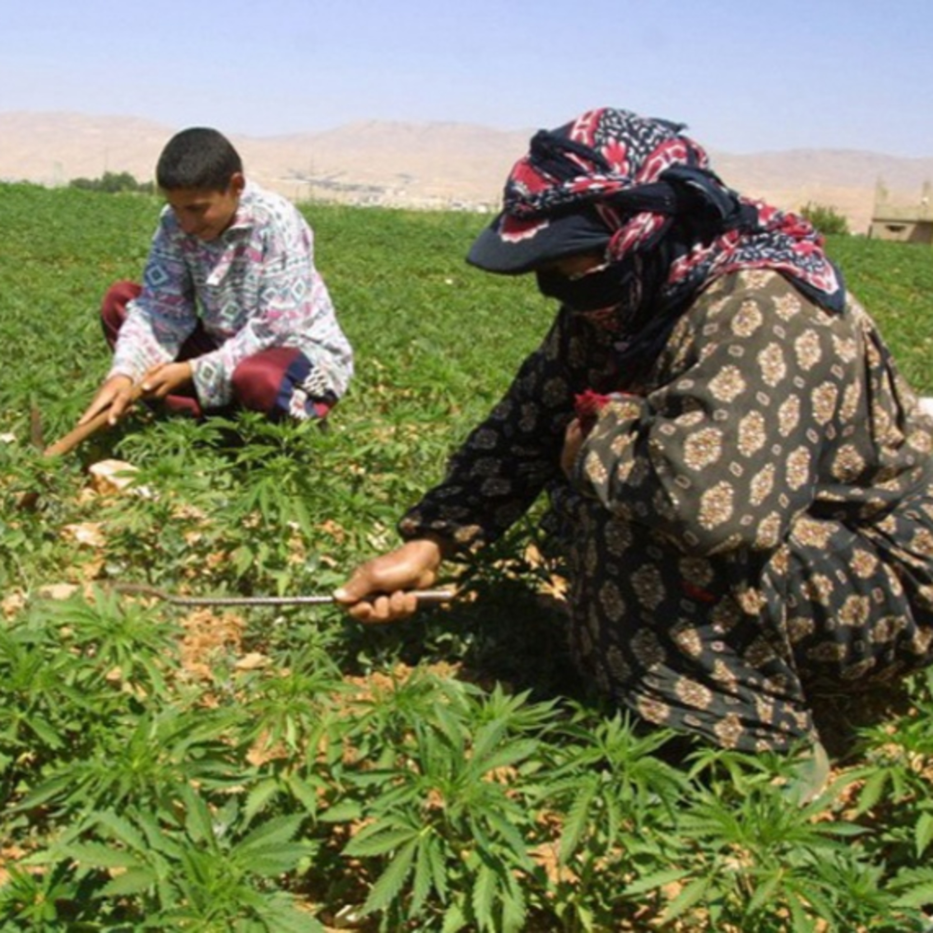 عشوائي مع أحمد