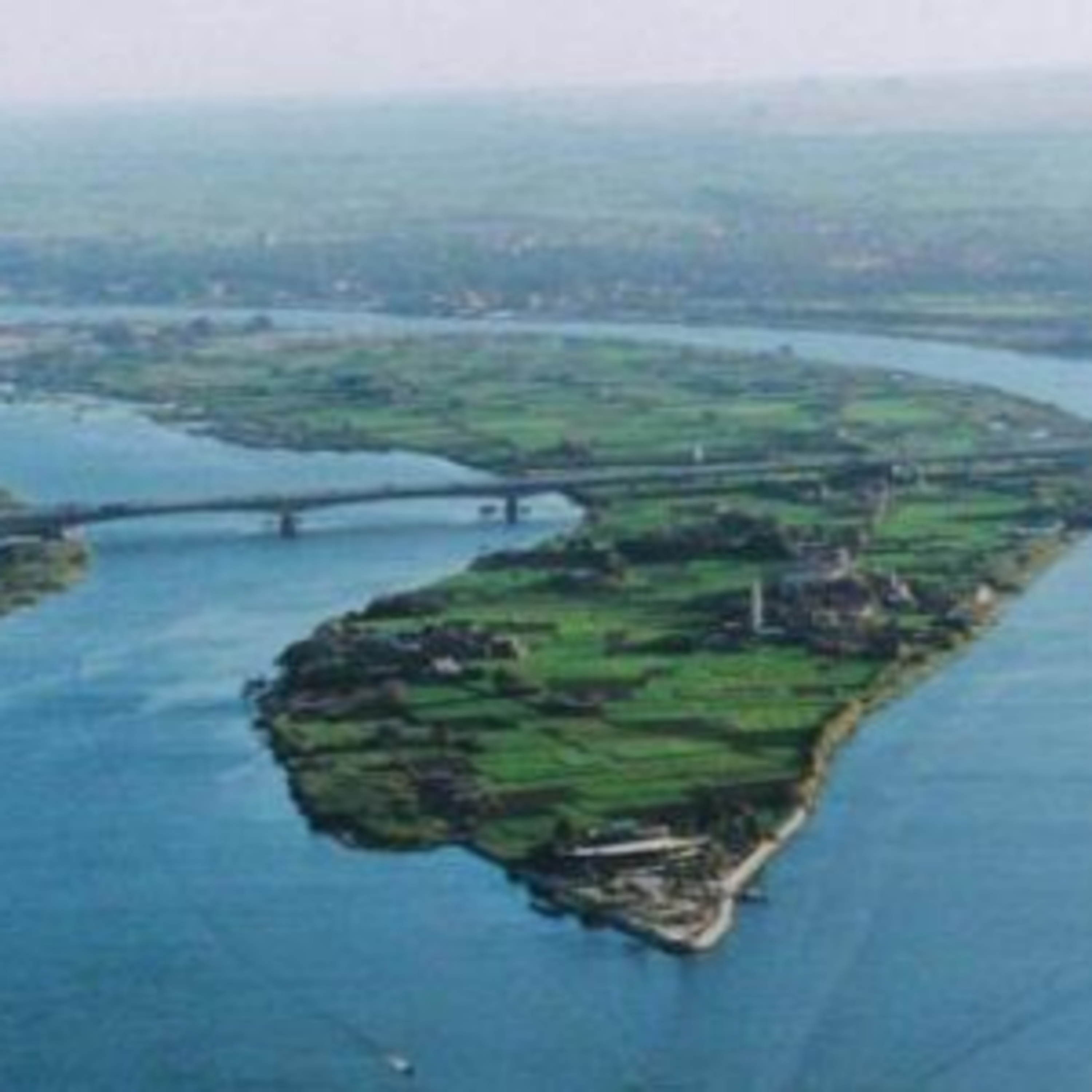 عشوائي مع أحمد