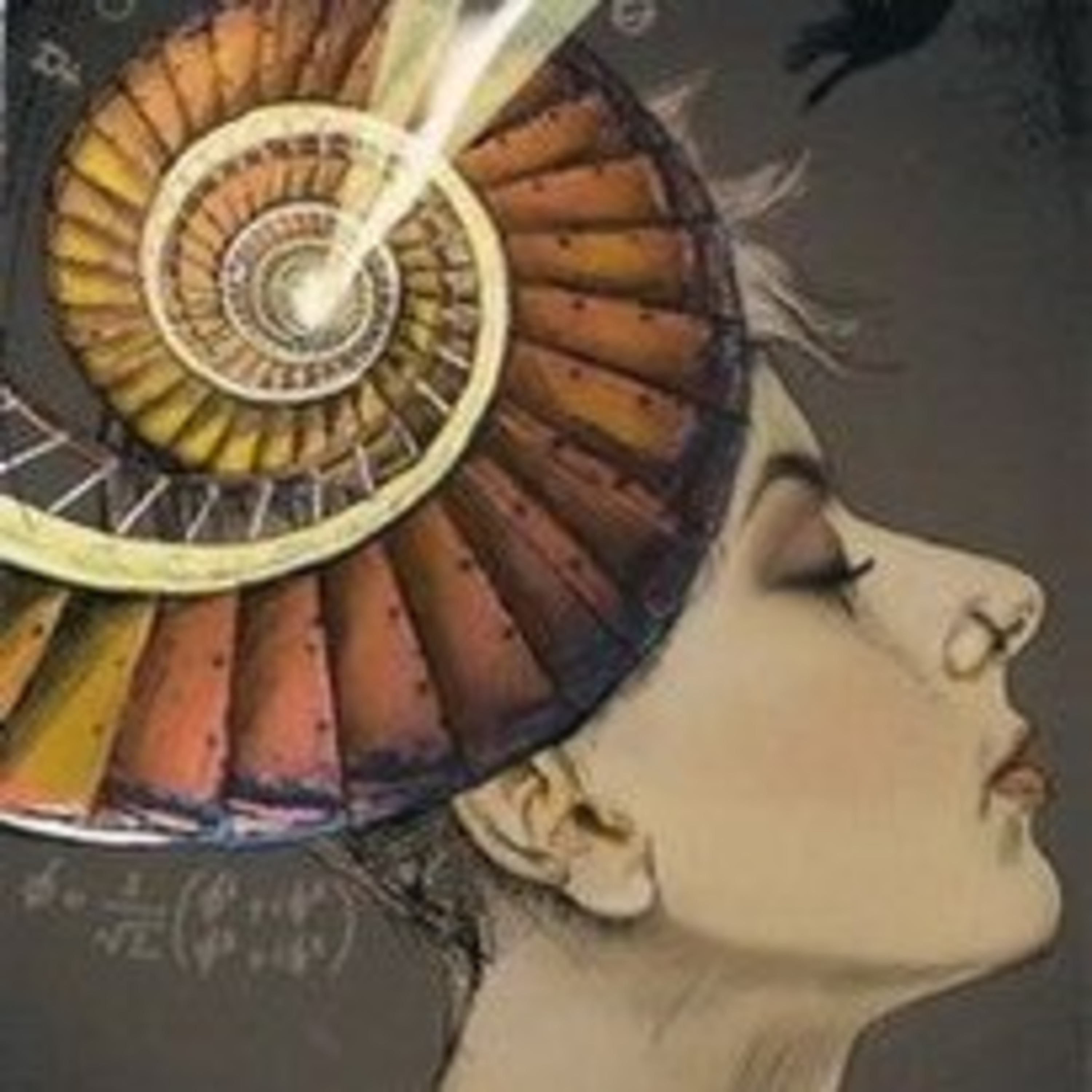 Ninive Tarot E A Carta Do Dia